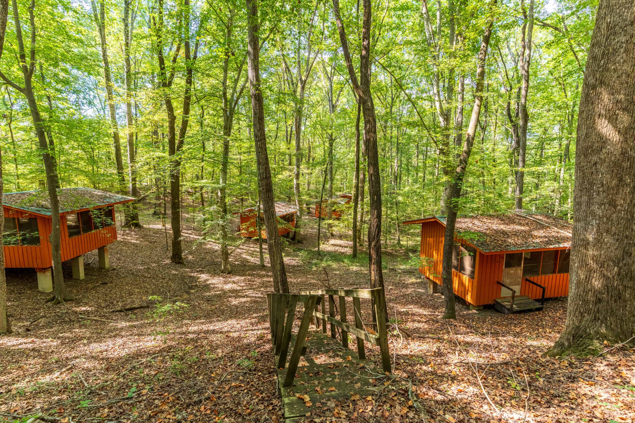 1,219 Acres of Land, Timber & Improvements Selling At Absolute Auction – Former Girl Scout Kamp Kiwani