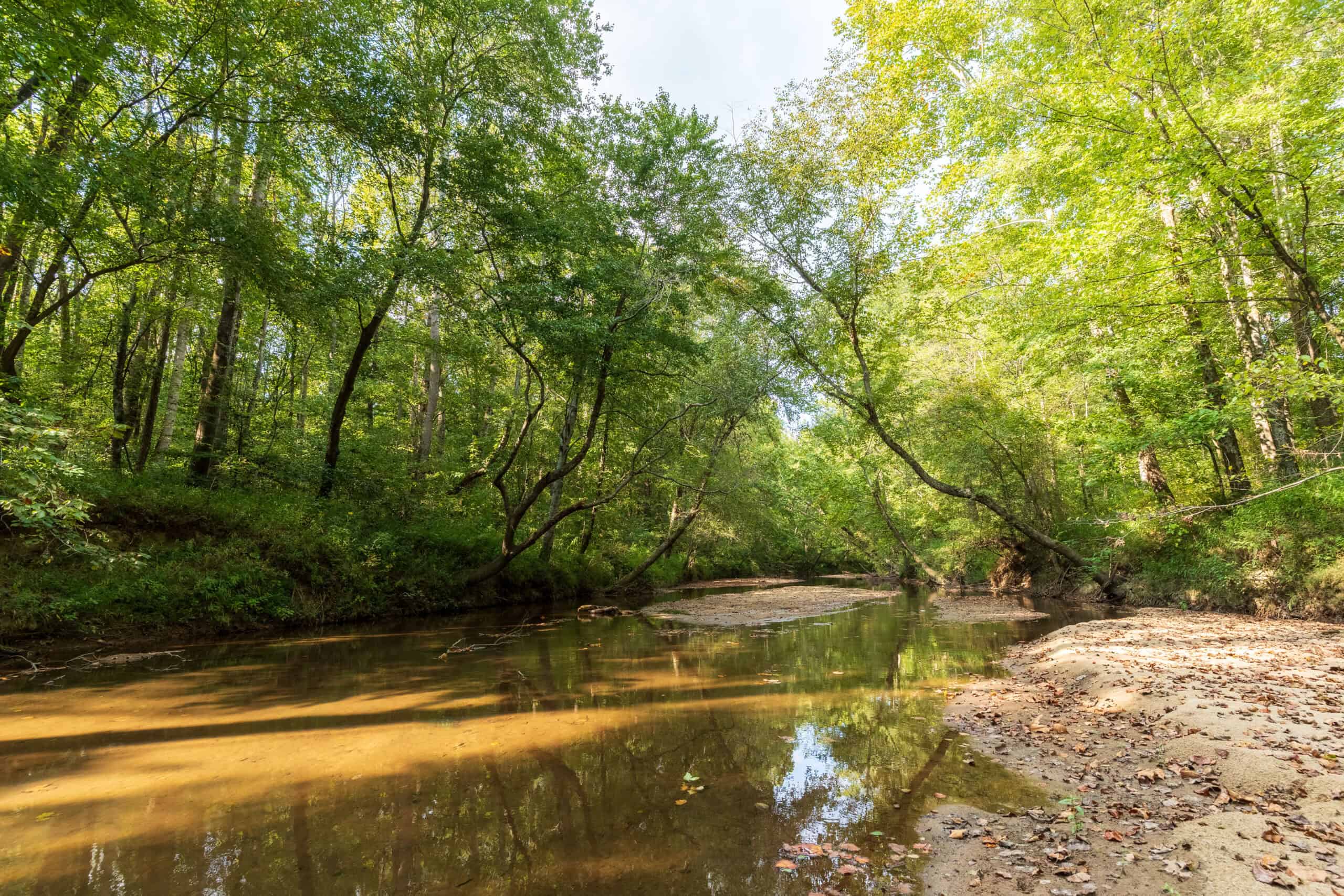 1,219 Acres of Land, Timber & Improvements Selling At Absolute Auction – Former Girl Scout Kamp Kiwani