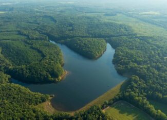1,219 Acres of Land, Timber & Improvements Selling At Absolute Auction – Former Girl Scout Kamp Kiwani