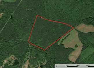60 Ac Secluded Hunting Land In Lunenburg County, VA