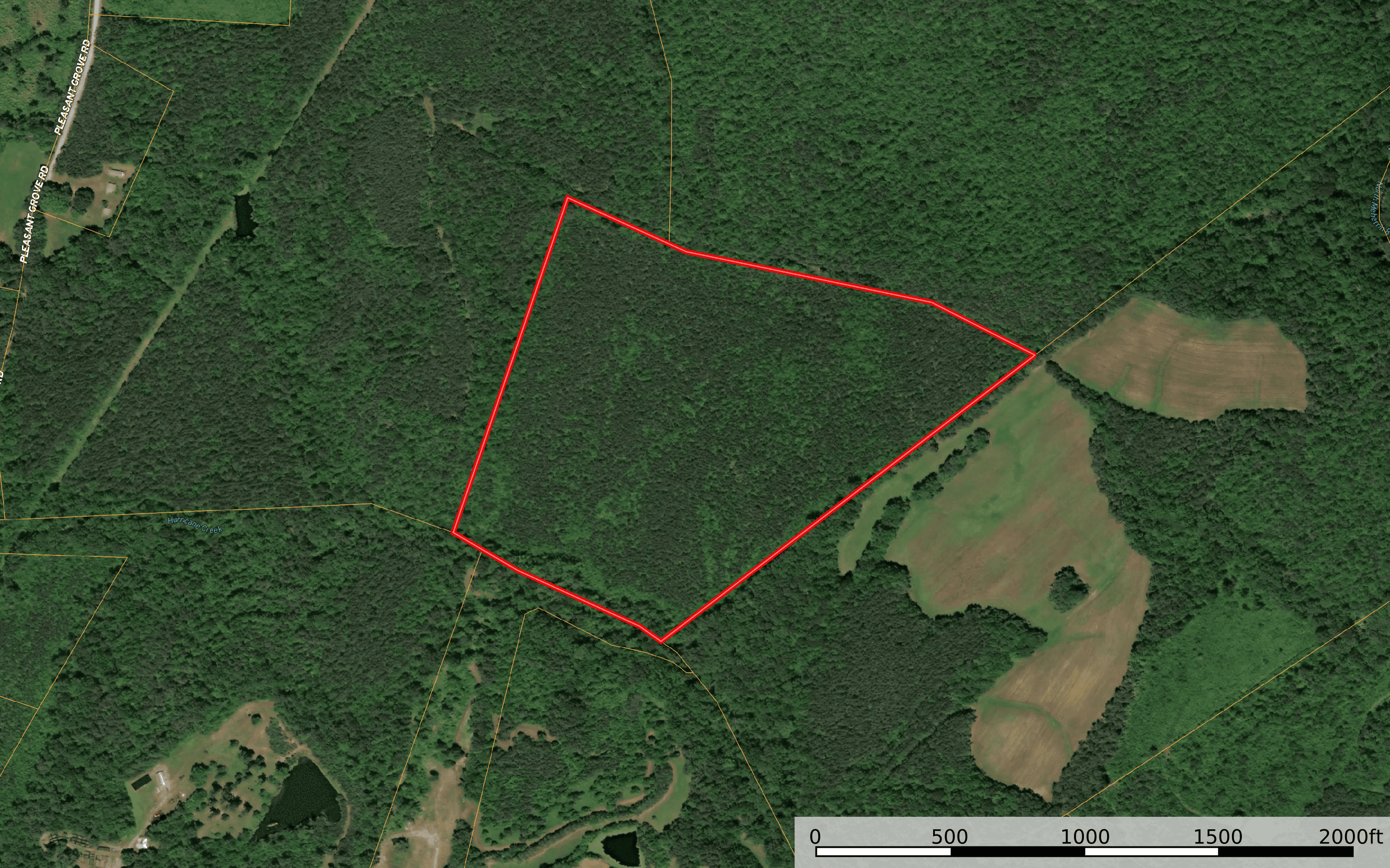 60 Ac Secluded Hunting Land In Lunenburg County, VA