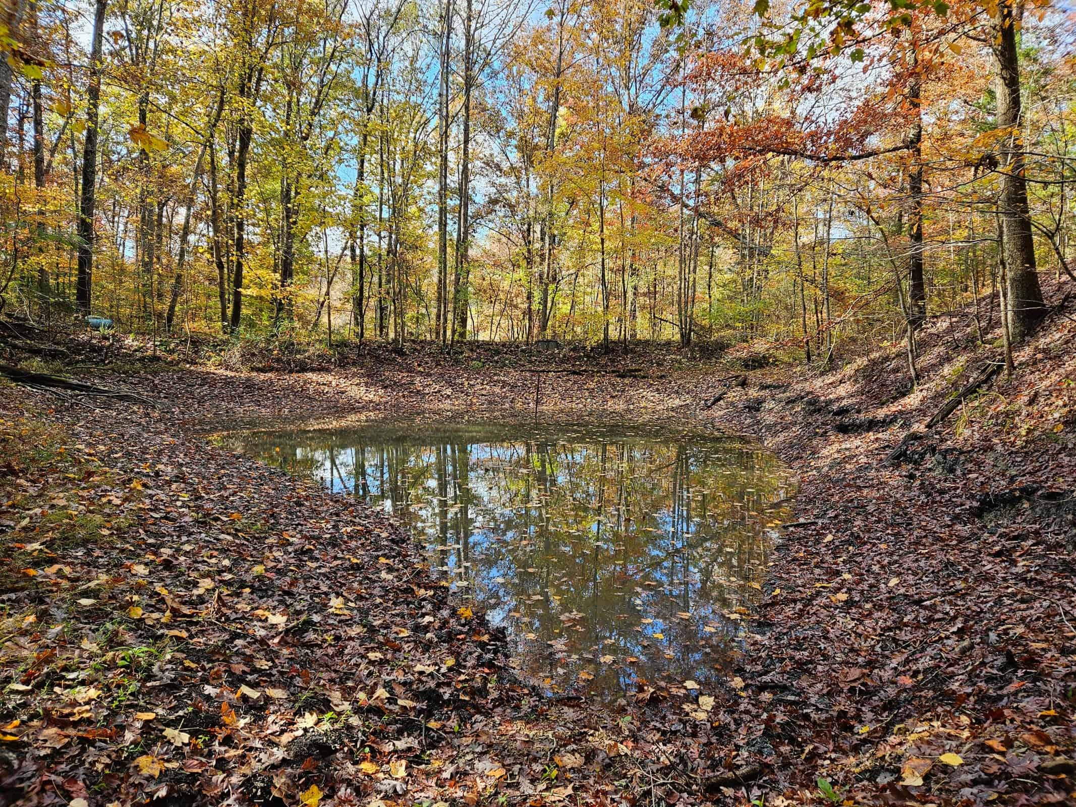 Liberty KY Country Home with Prime White-Tail Deer and Turkey Hunting Land