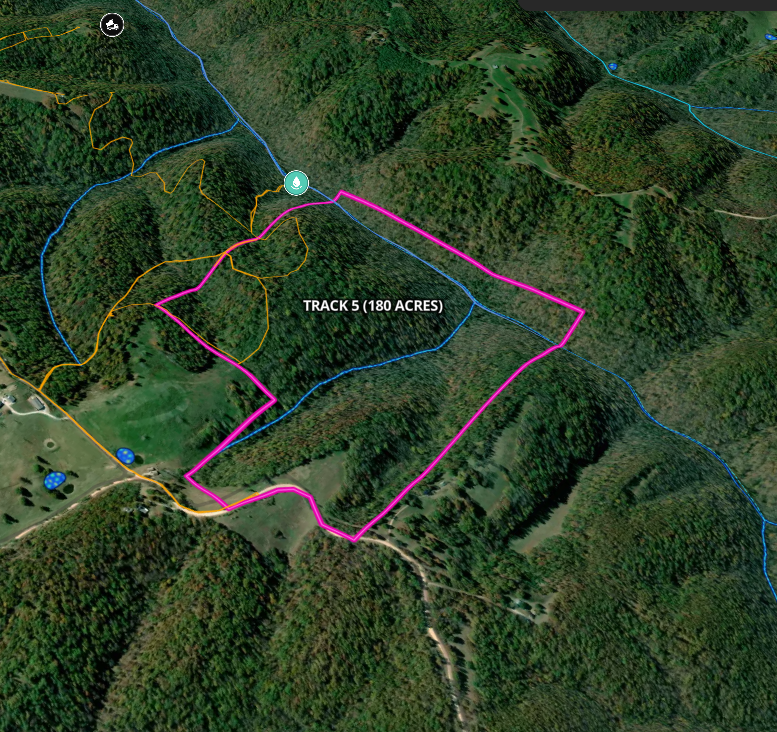 HUNTING FOREST LAND FOR SALE IN OZARK MOUNTAINS OF ARKANSAS