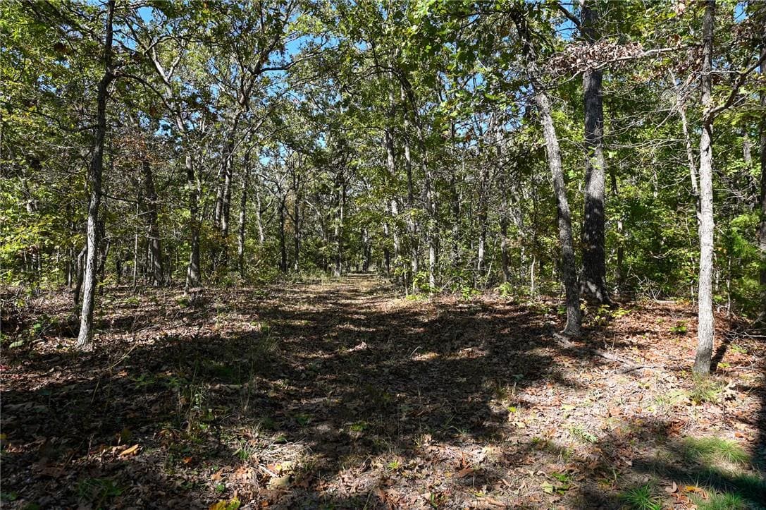 Country Home with Hunting Land – Hickory County