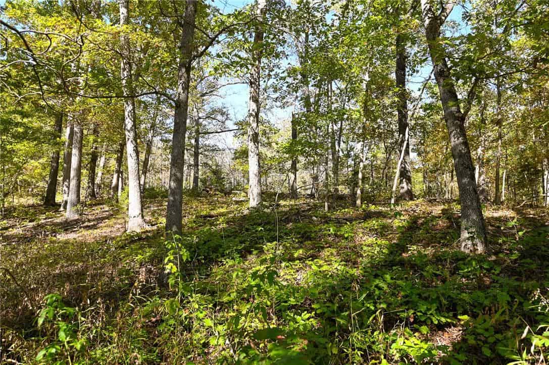 Country Home with Hunting Land – Hickory County