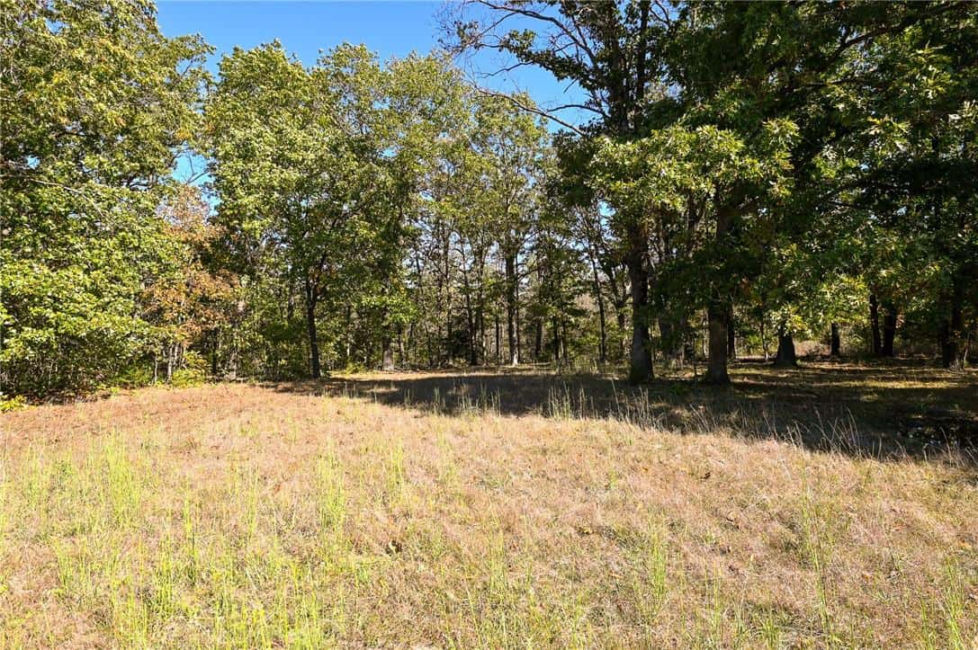Country Home with Hunting Land – Hickory County
