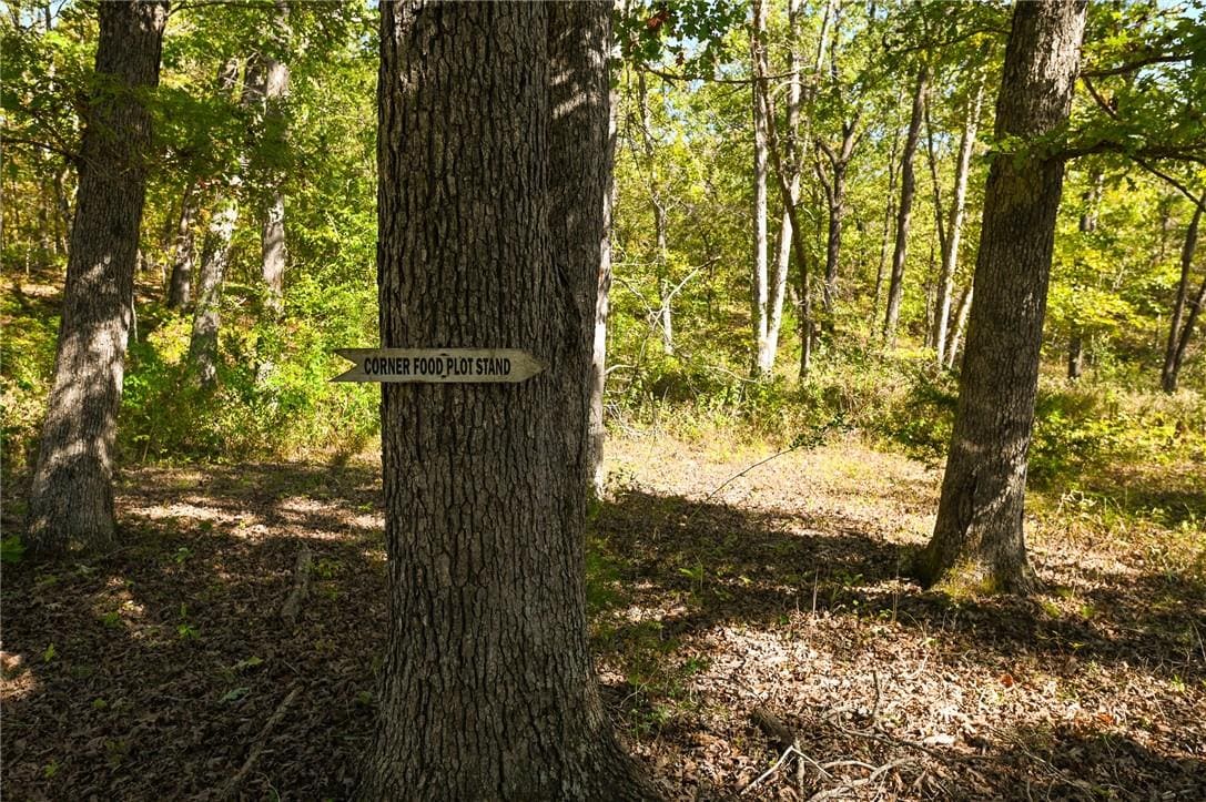 Country Home with Hunting Land – Hickory County