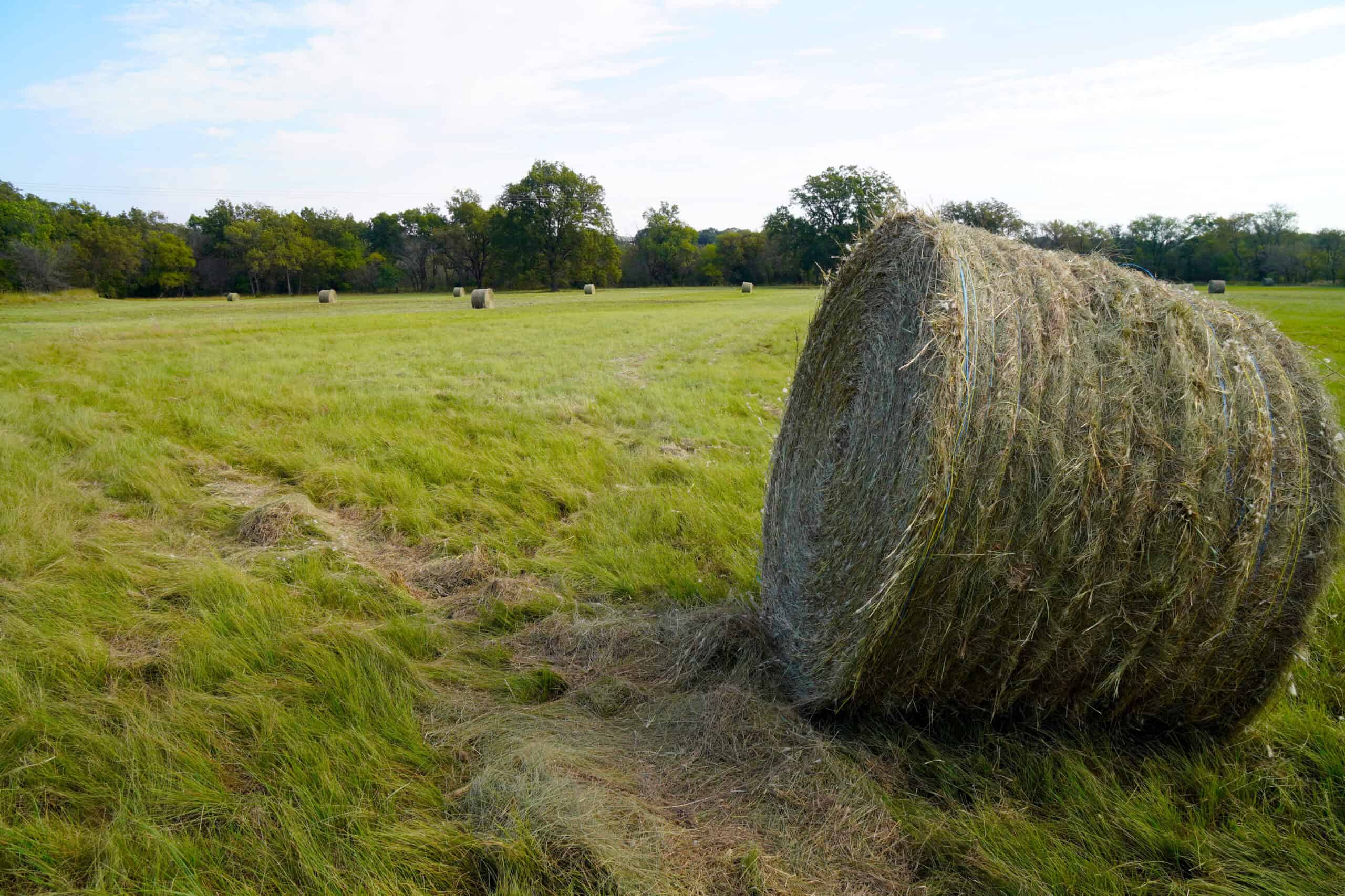 NO RESERVE AUCTION – Prime Oklahoma Ranch Land & Home on HWY 177