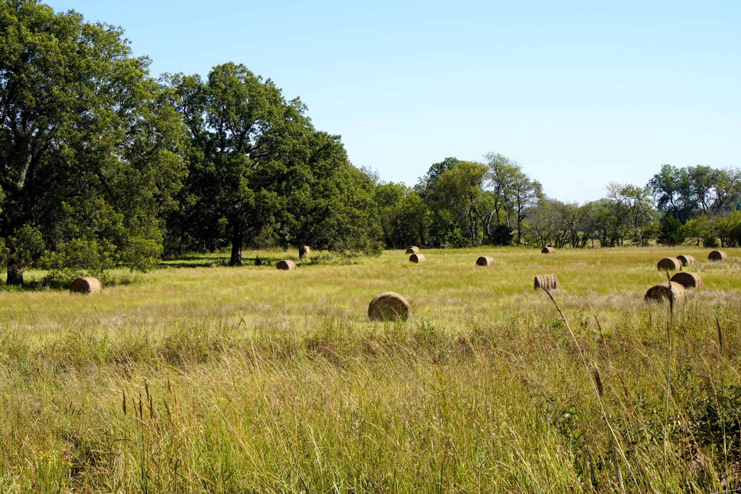 NO RESERVE AUCTION – Prime Oklahoma Ranch Land & Home on HWY 177