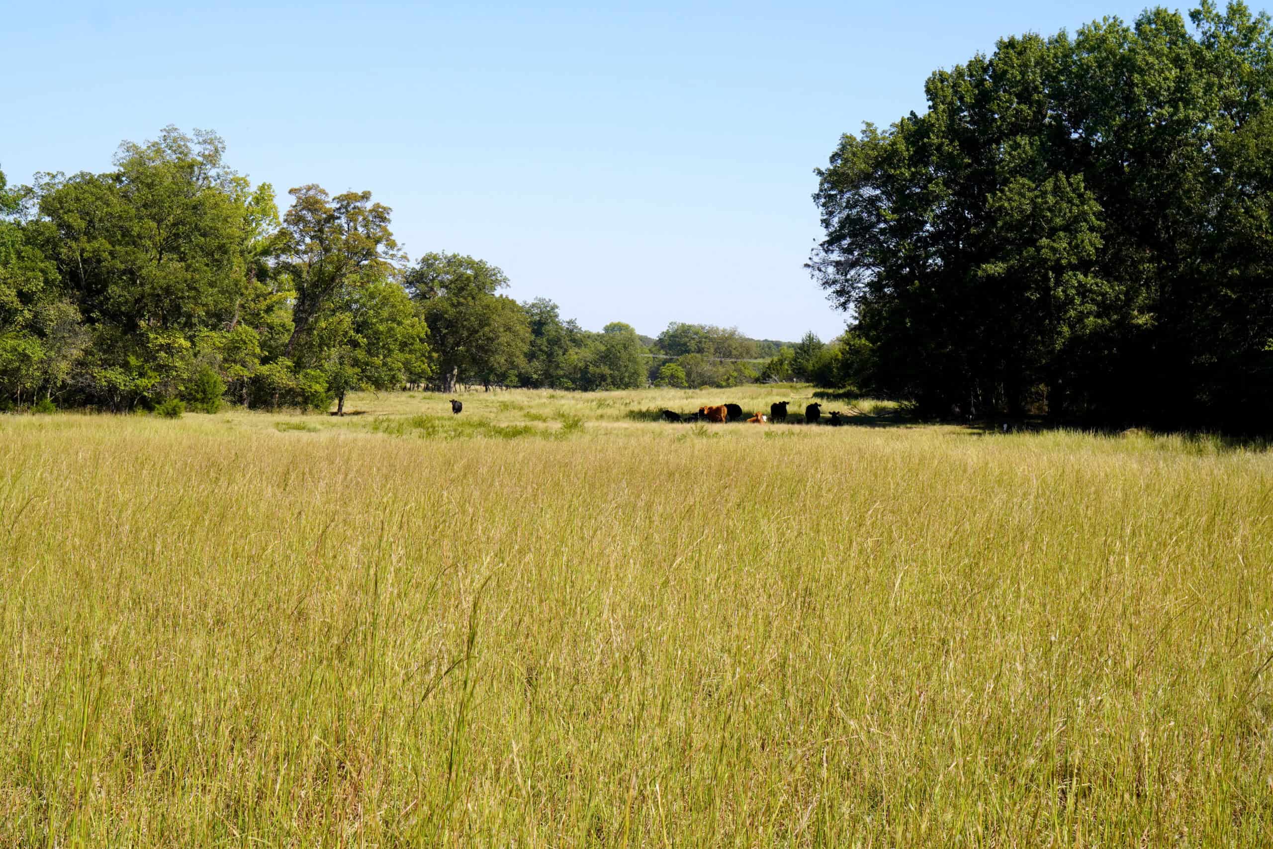 NO RESERVE AUCTION – Prime Oklahoma Ranch Land & Home on HWY 177