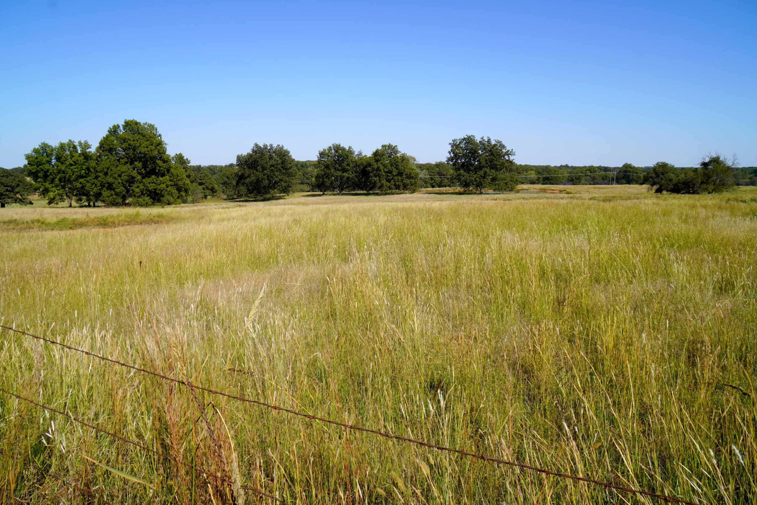 NO RESERVE AUCTION – Prime Oklahoma Ranch Land & Home on HWY 177