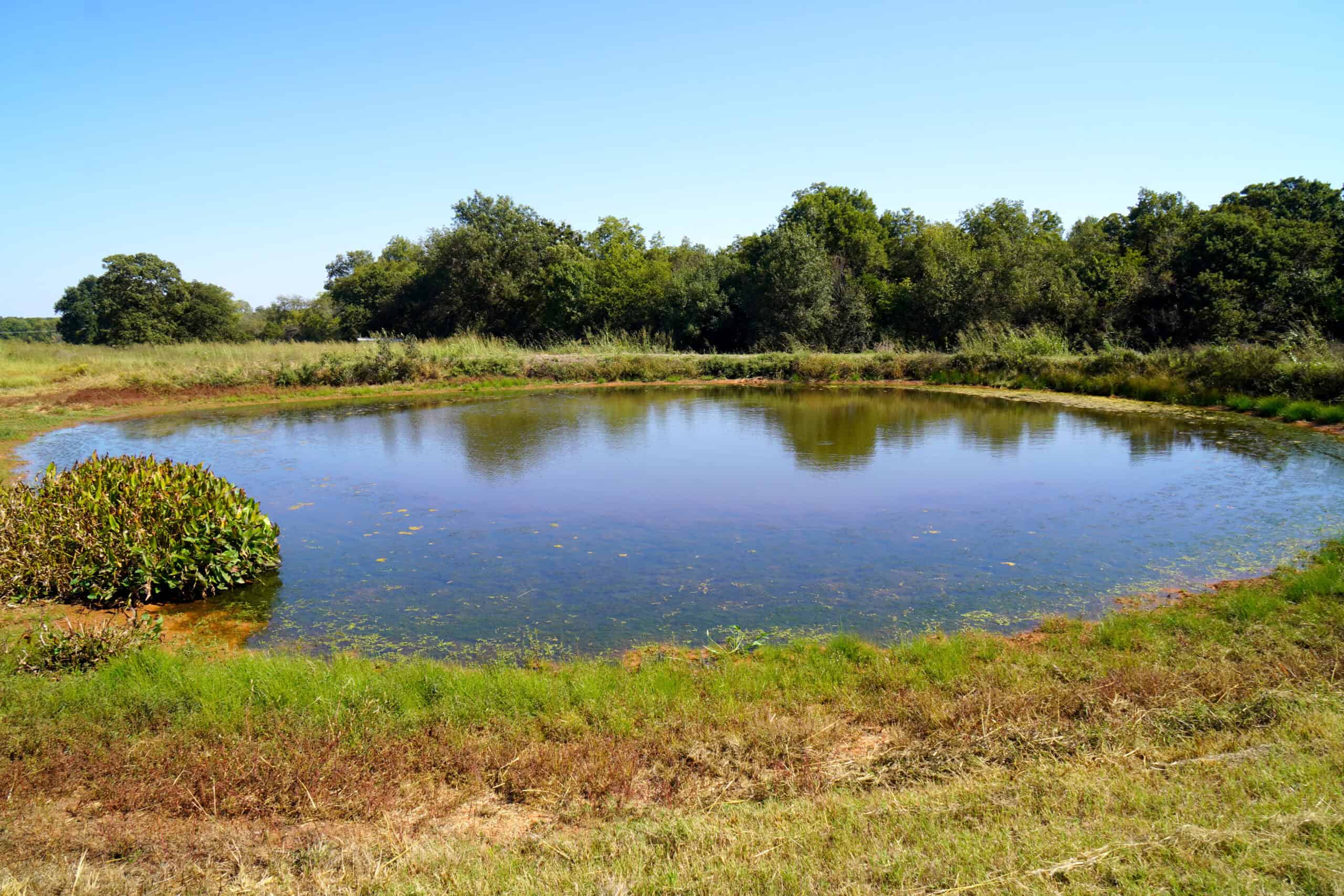 NO RESERVE AUCTION – Prime Oklahoma Ranch Land & Home on HWY 177