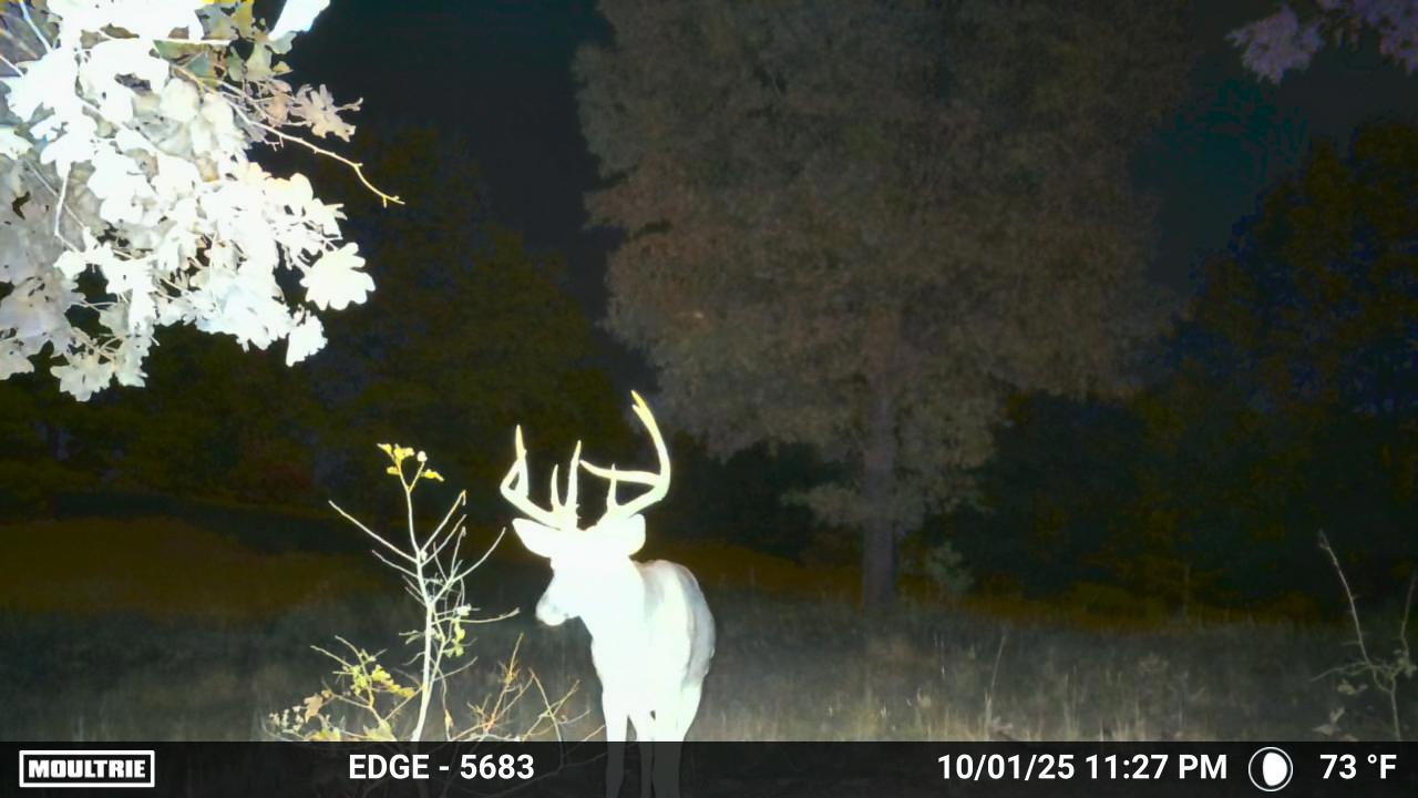 HUNTING AND RECREATIONAL LAND FOR SALE IN ARKANSAS