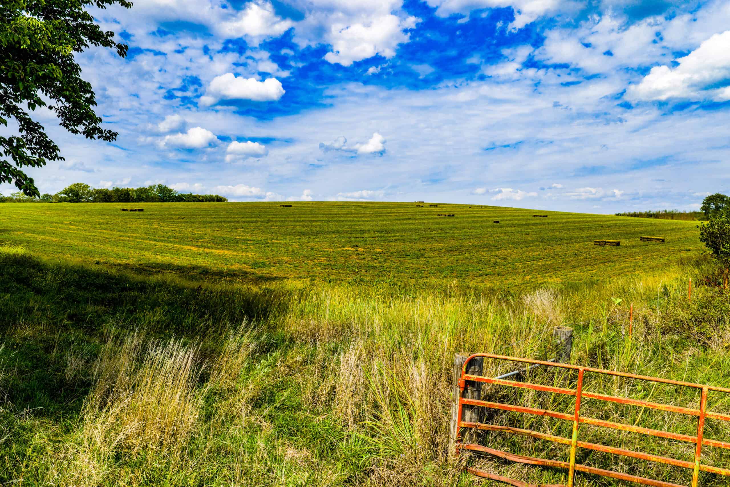 Absolute Auction Land in Kansas