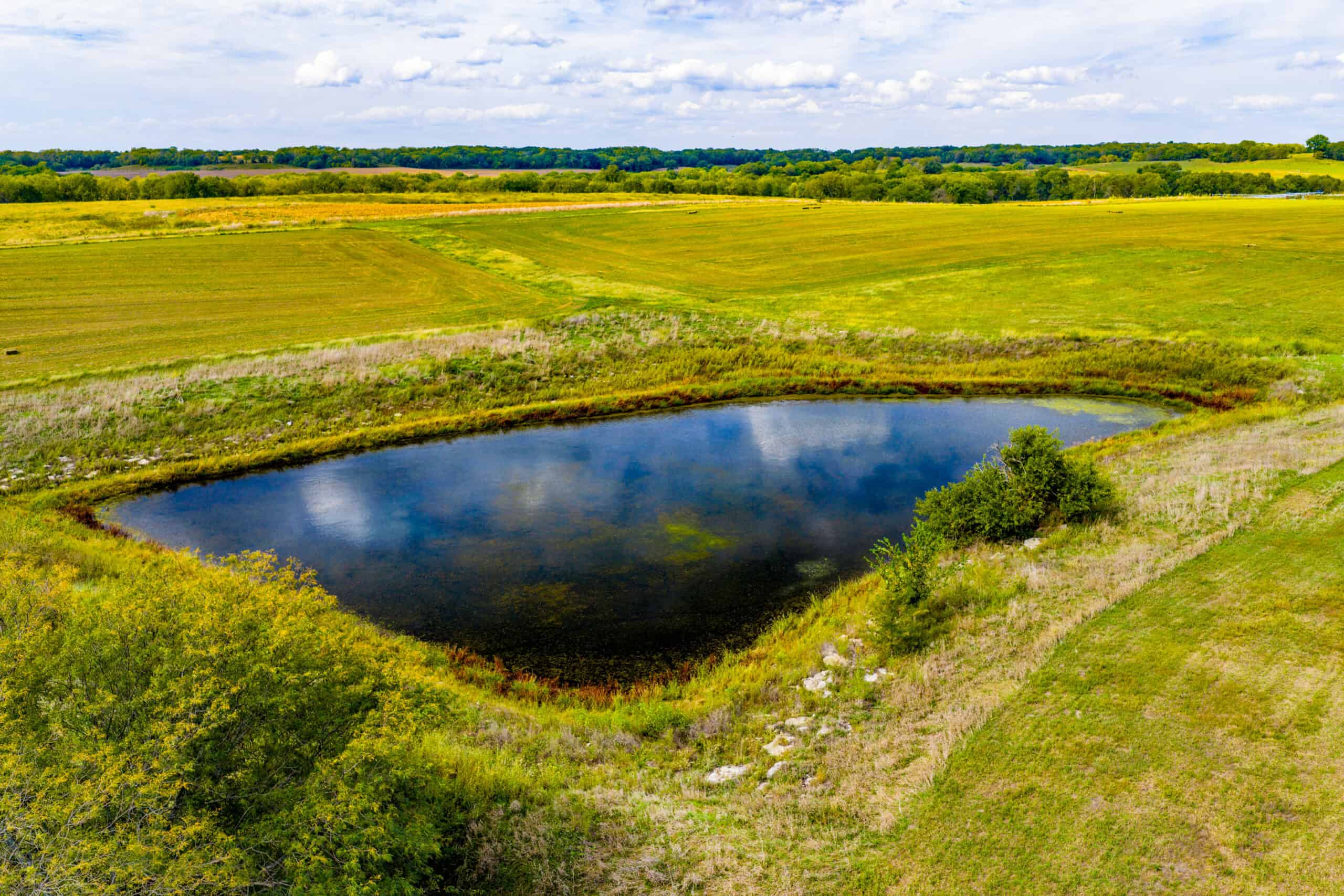Absolute Auction Land in Kansas