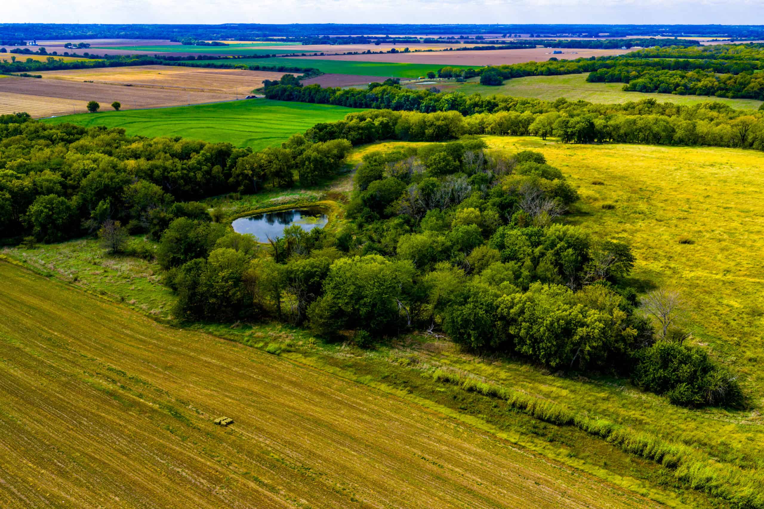 Absolute Auction Land in Kansas