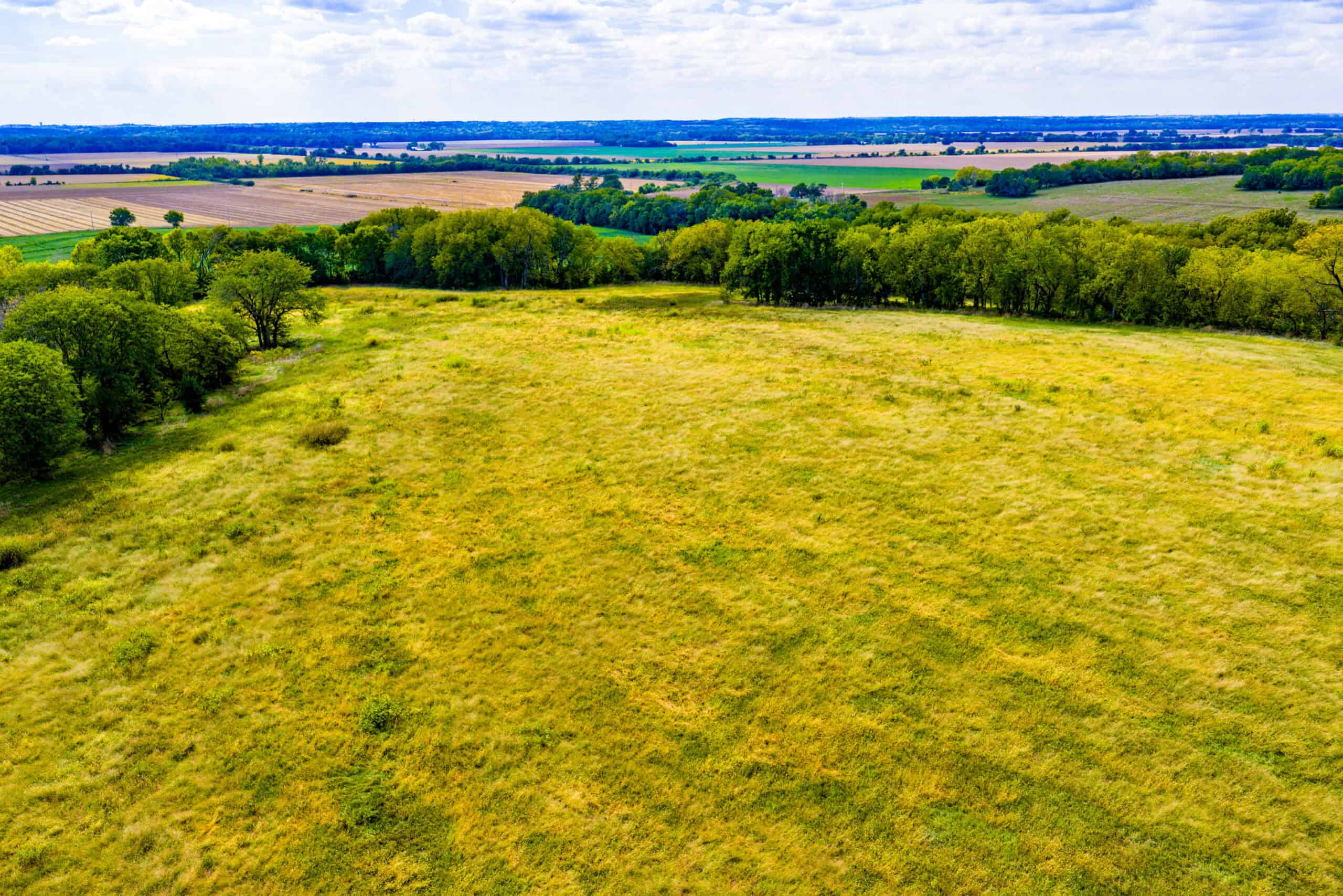Absolute Auction Land in Kansas