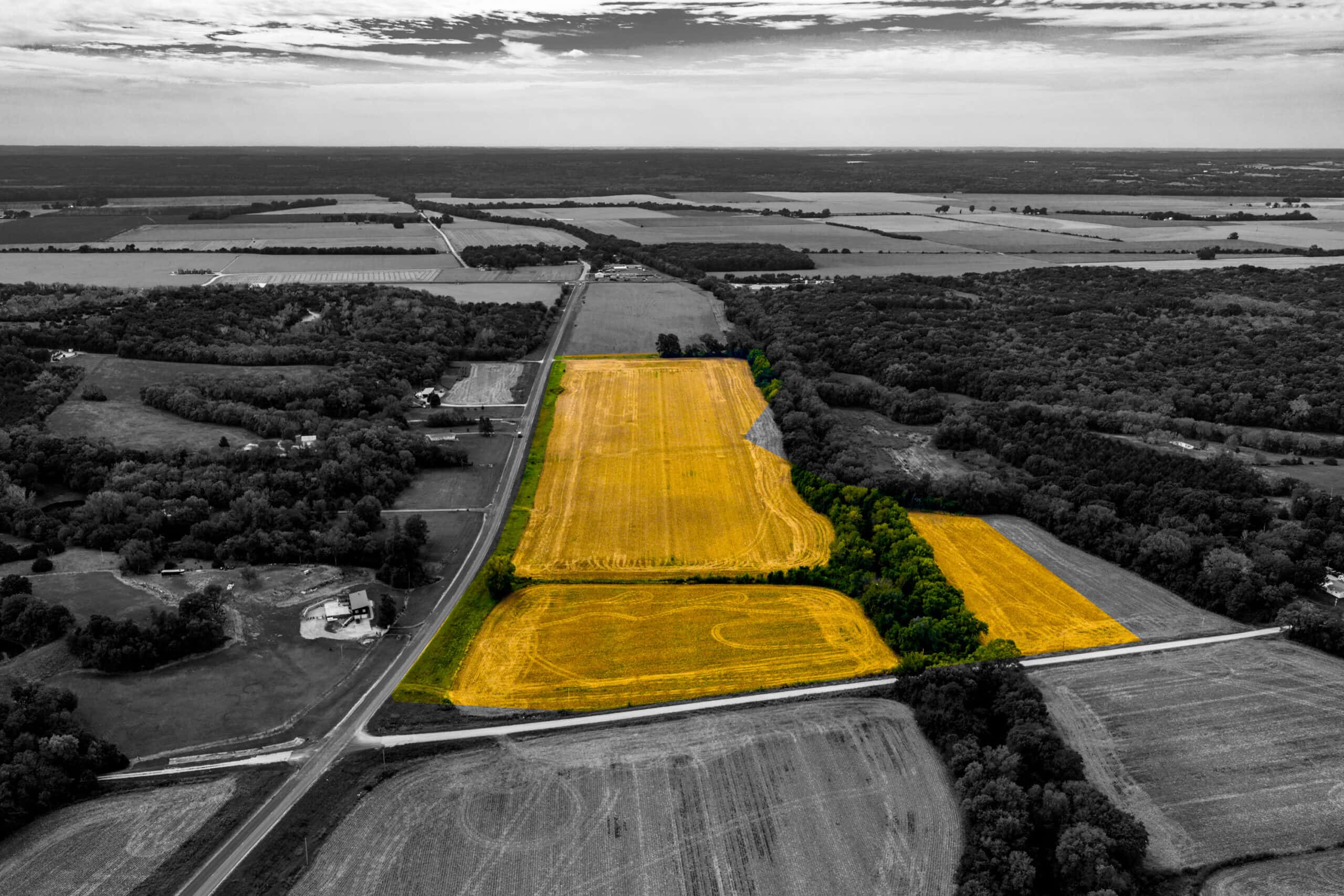 Absolute Auction Land in Kansas