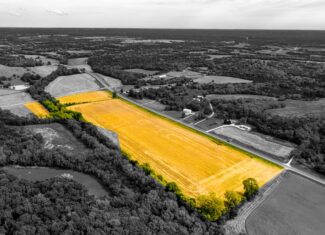 Absolute Auction Land in Kansas
