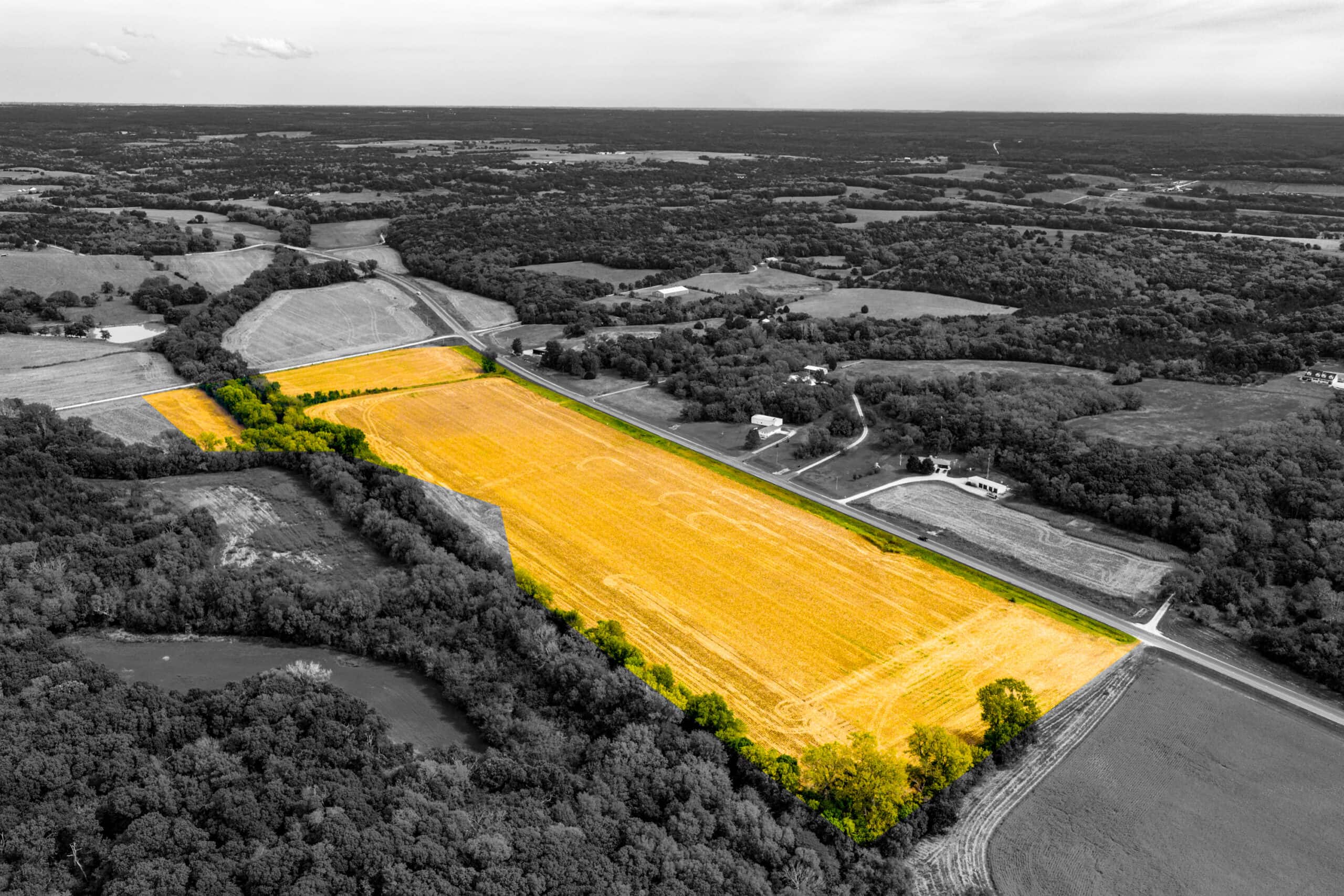 Absolute Auction Land in Kansas