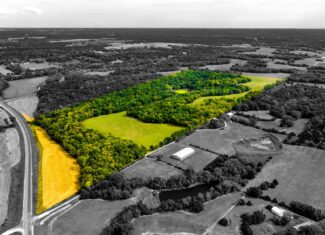 Absolute Auction Land in Kansas