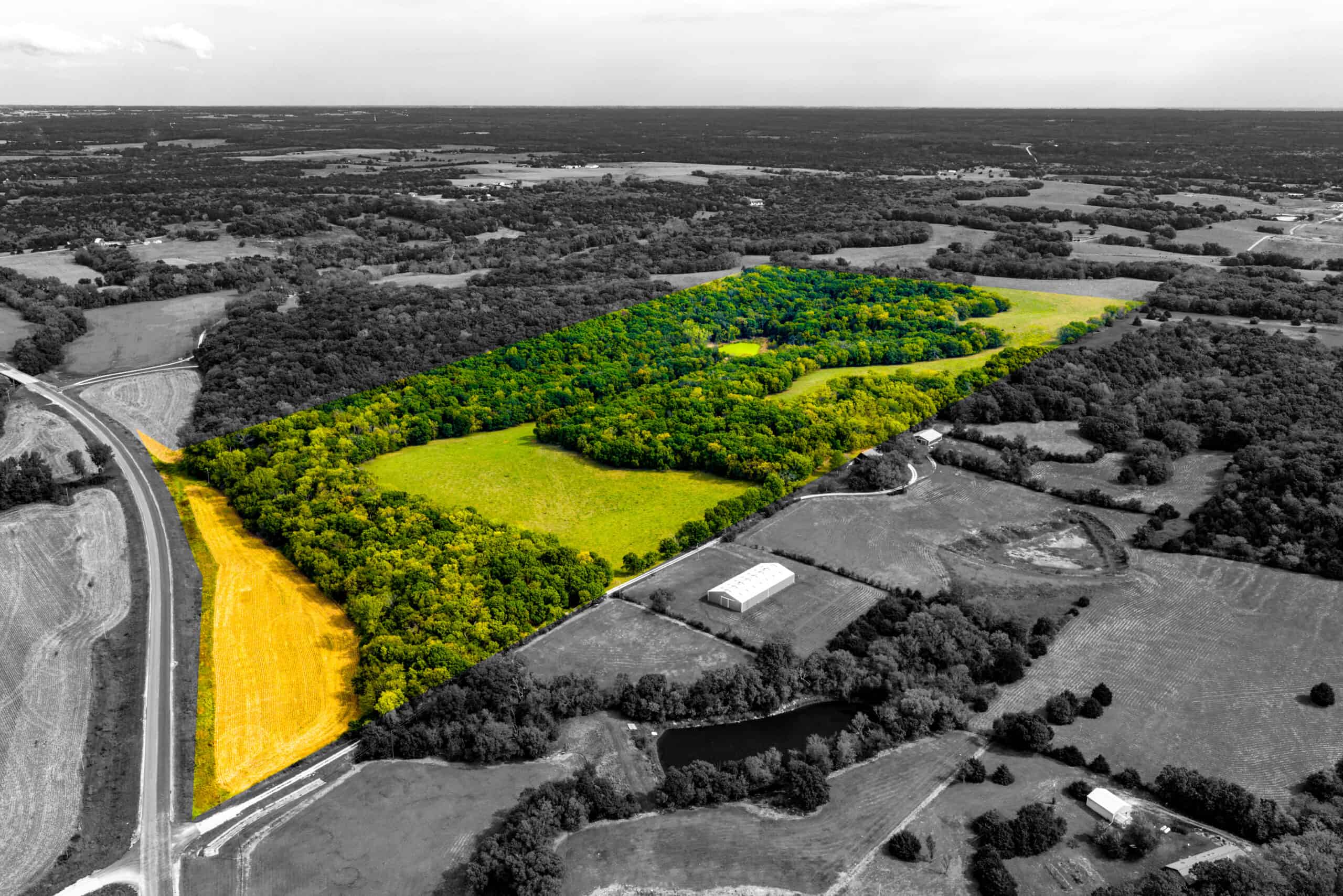 Absolute Auction Land in Kansas