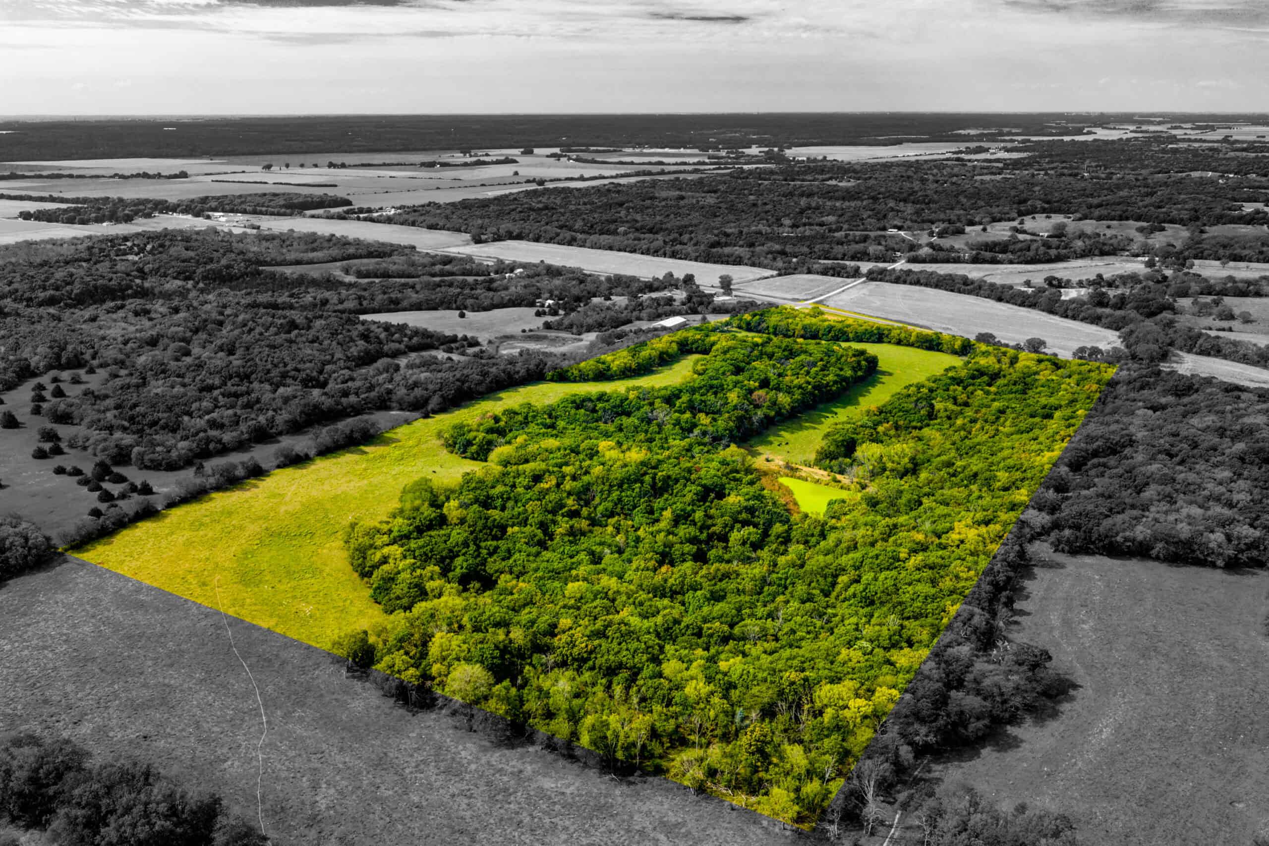 Absolute Auction Land in Kansas