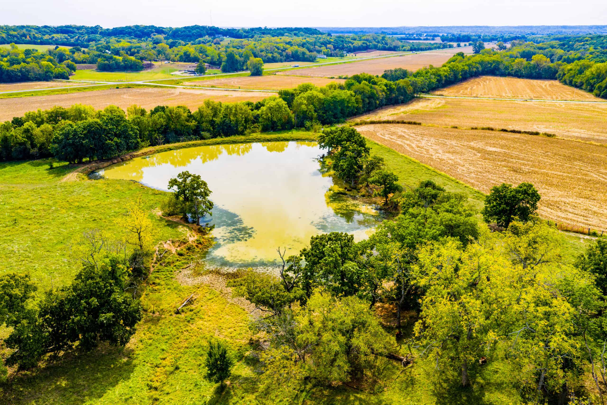 Absolute Auction Land in Kansas