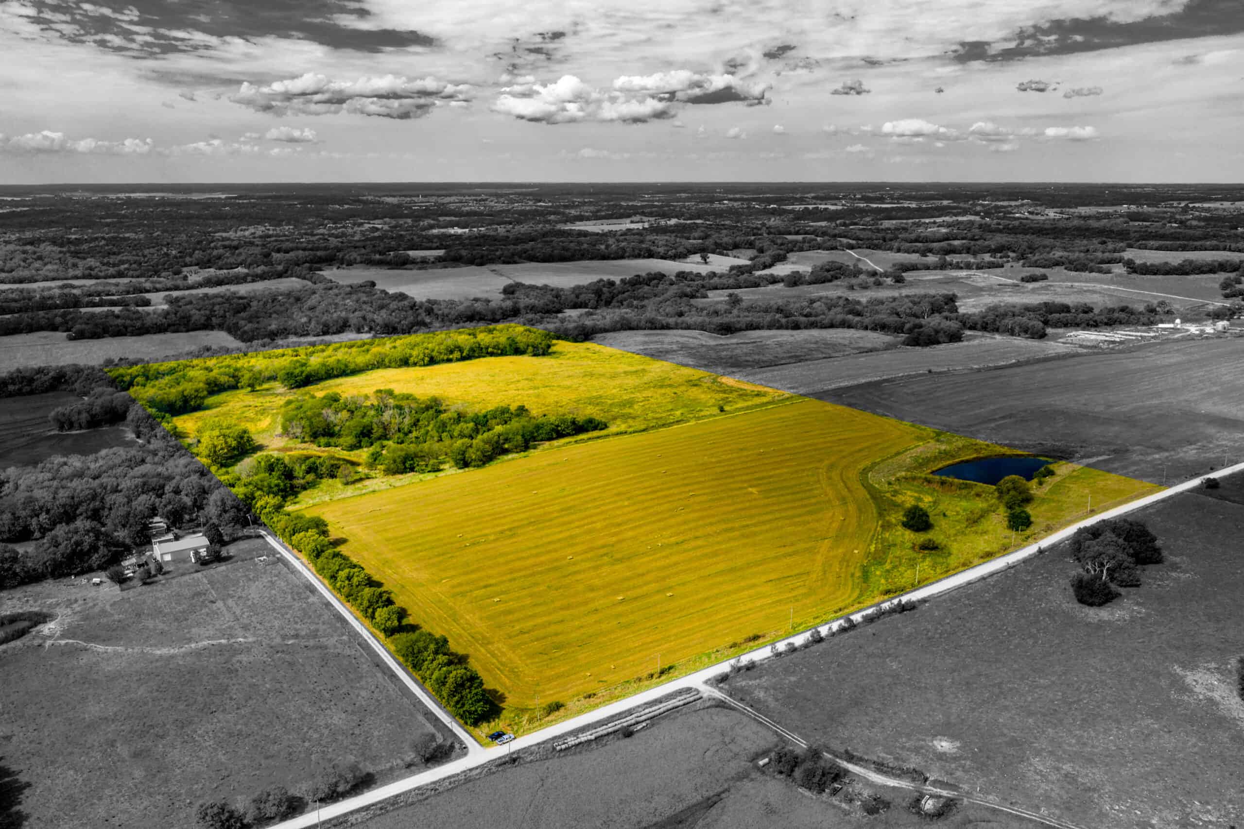 Absolute Auction Land in Kansas