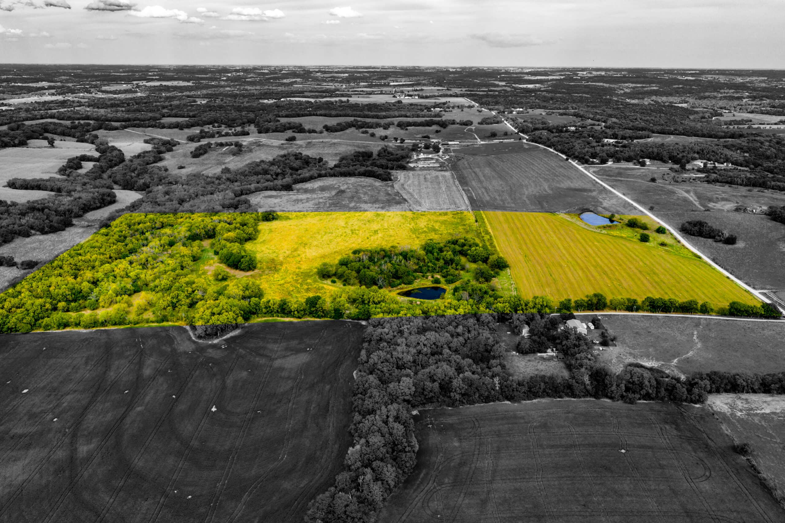 Absolute Auction Land in Kansas
