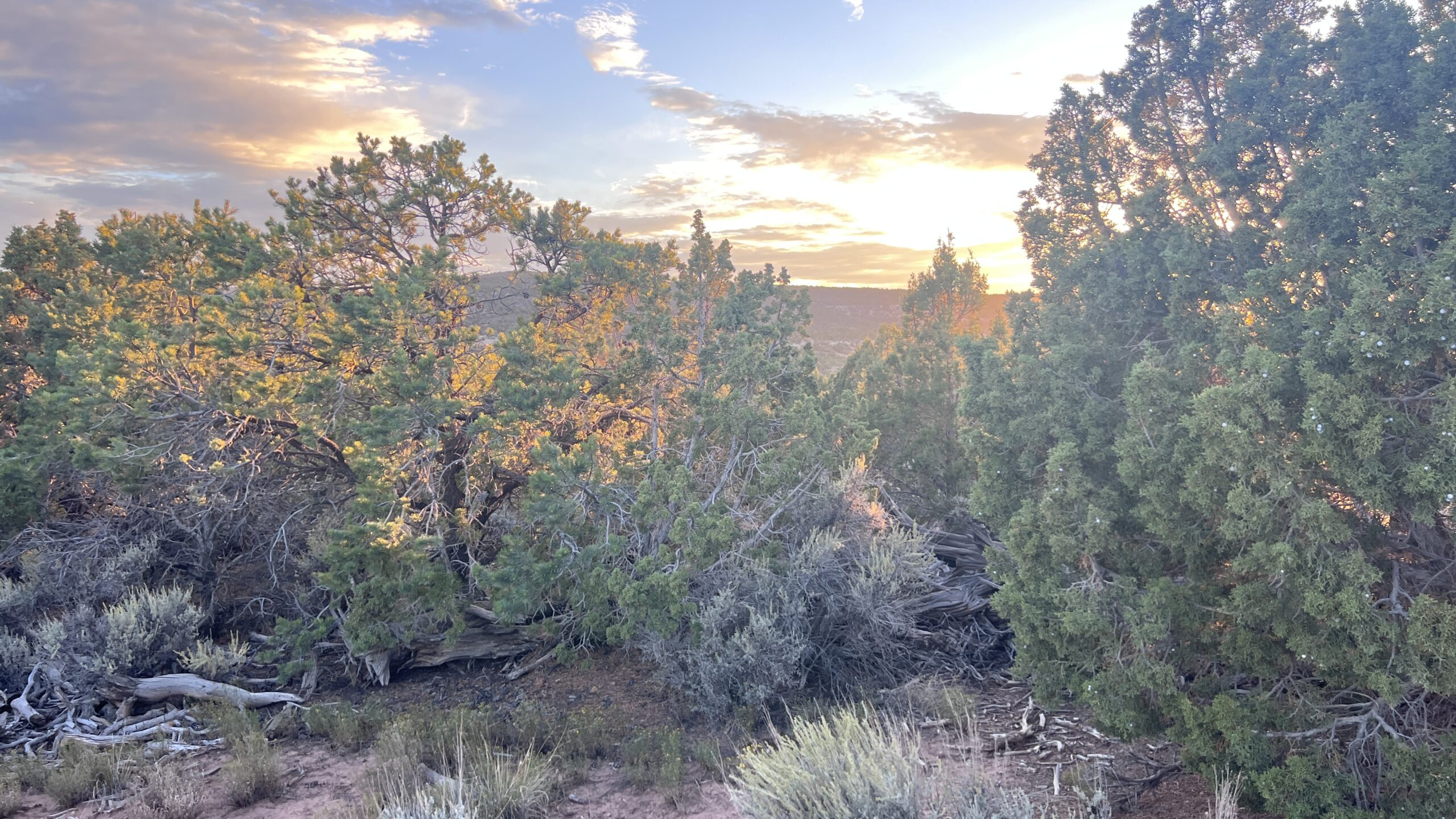 Western Colorado Acreage