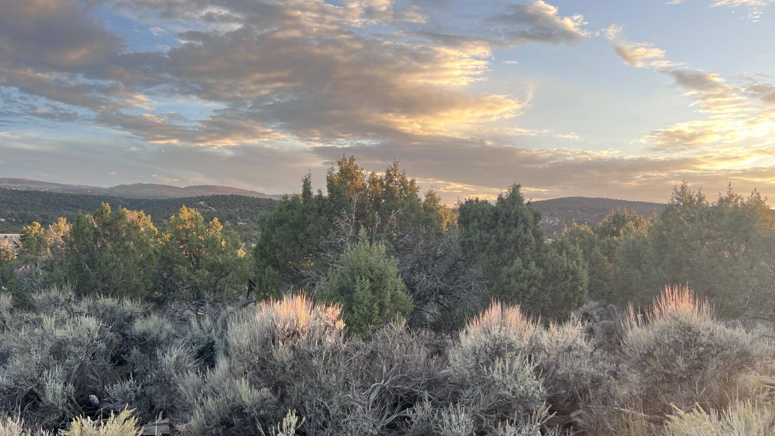 Western Colorado Acreage