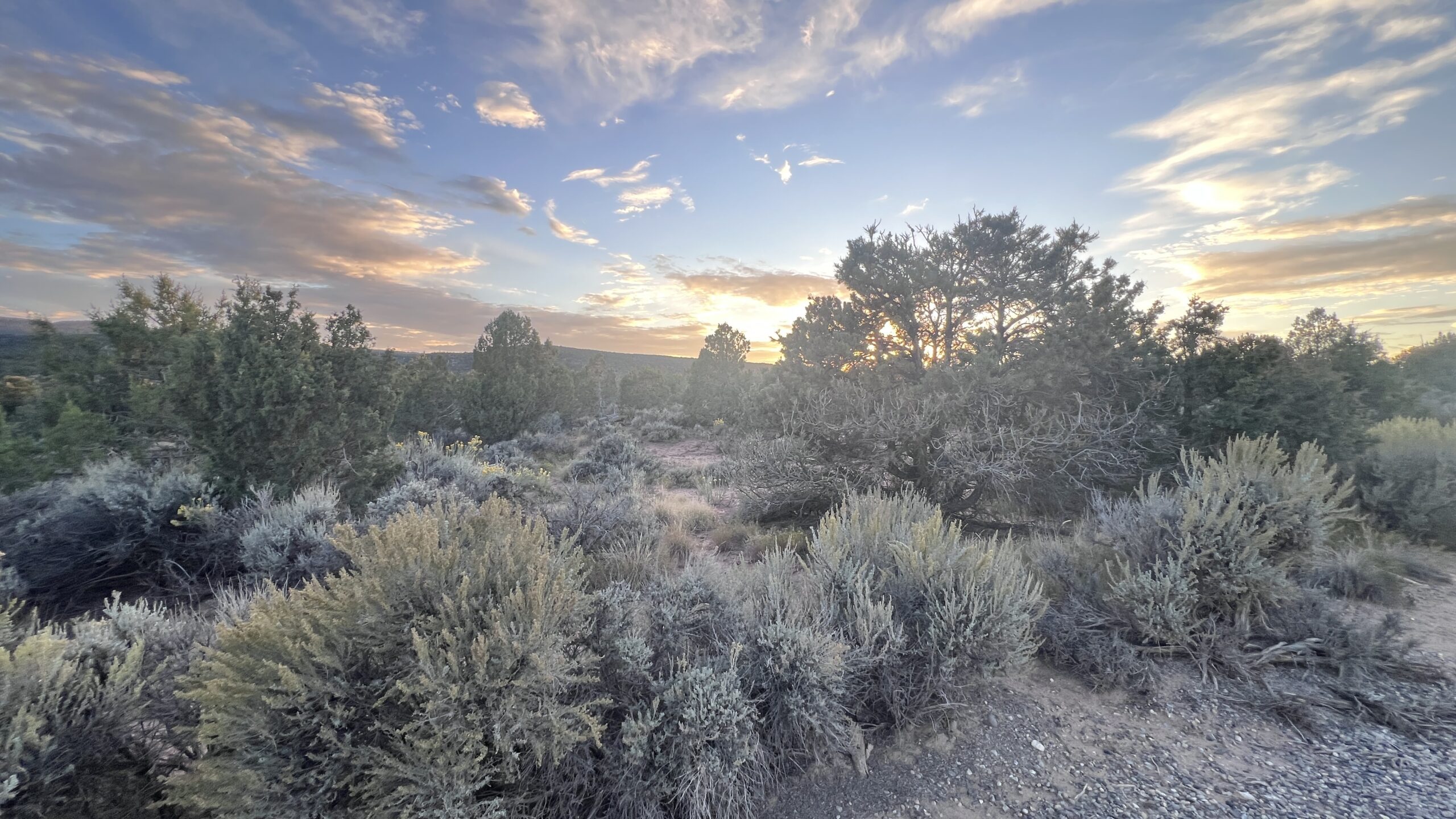 Western Colorado Acreage