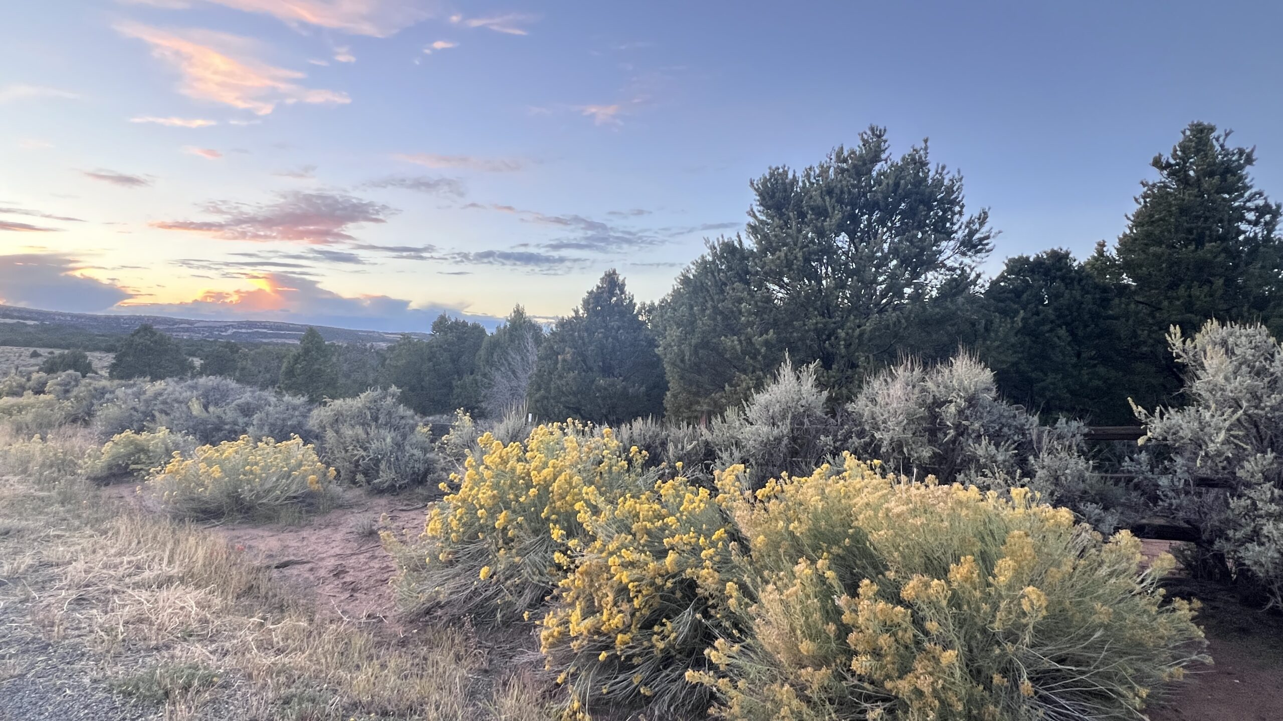 Western Colorado Acreage