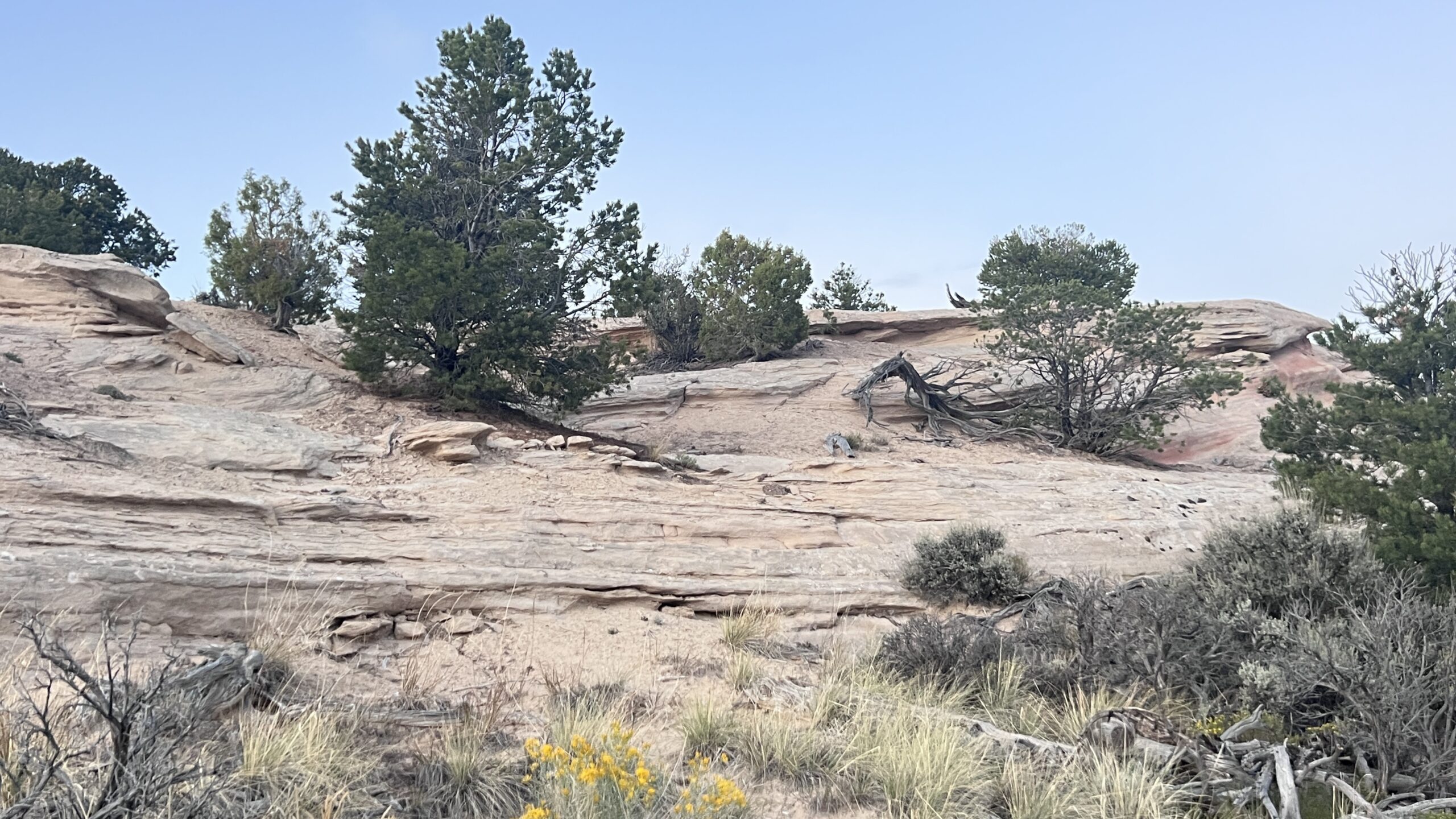 Western Colorado Acreage