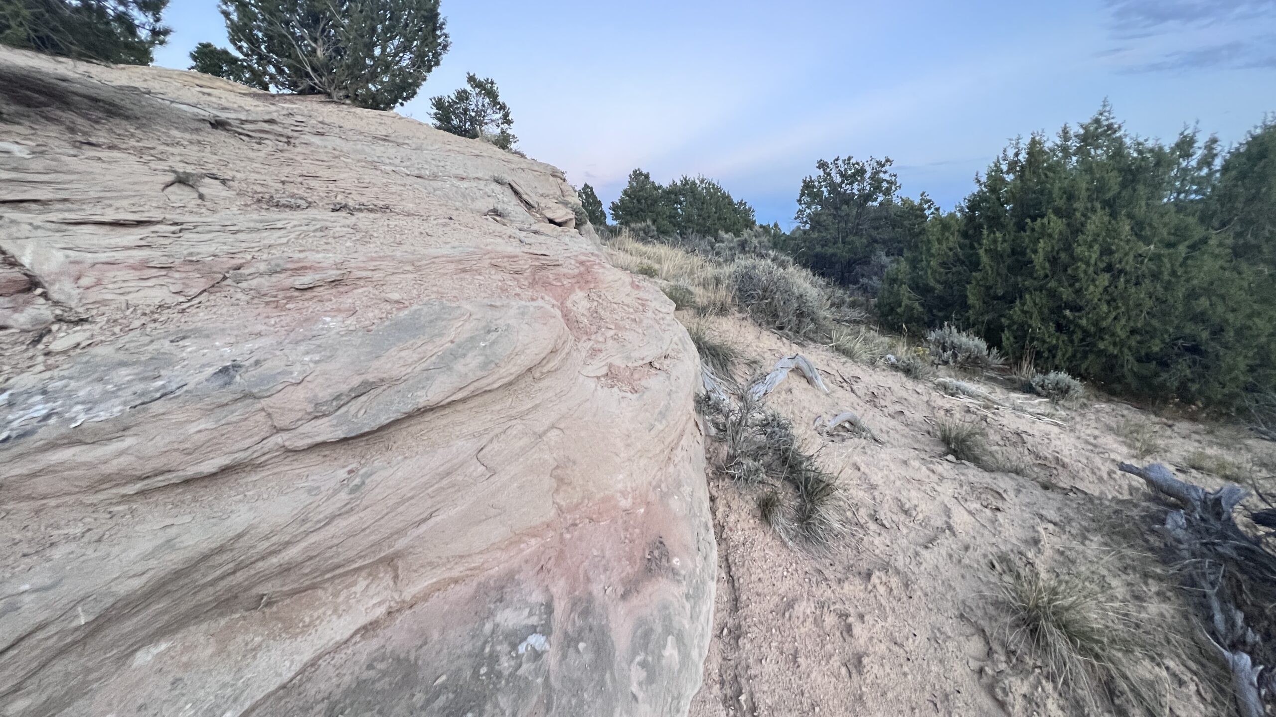 Western Colorado Acreage