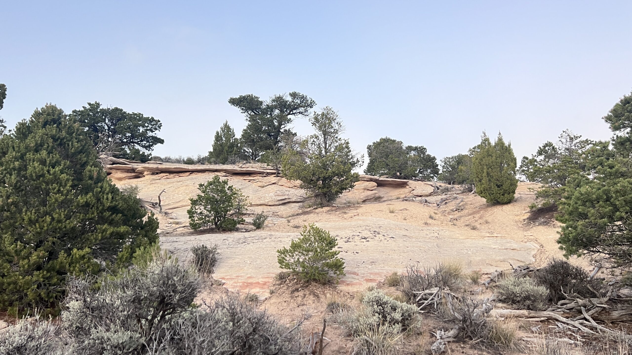 Western Colorado Acreage