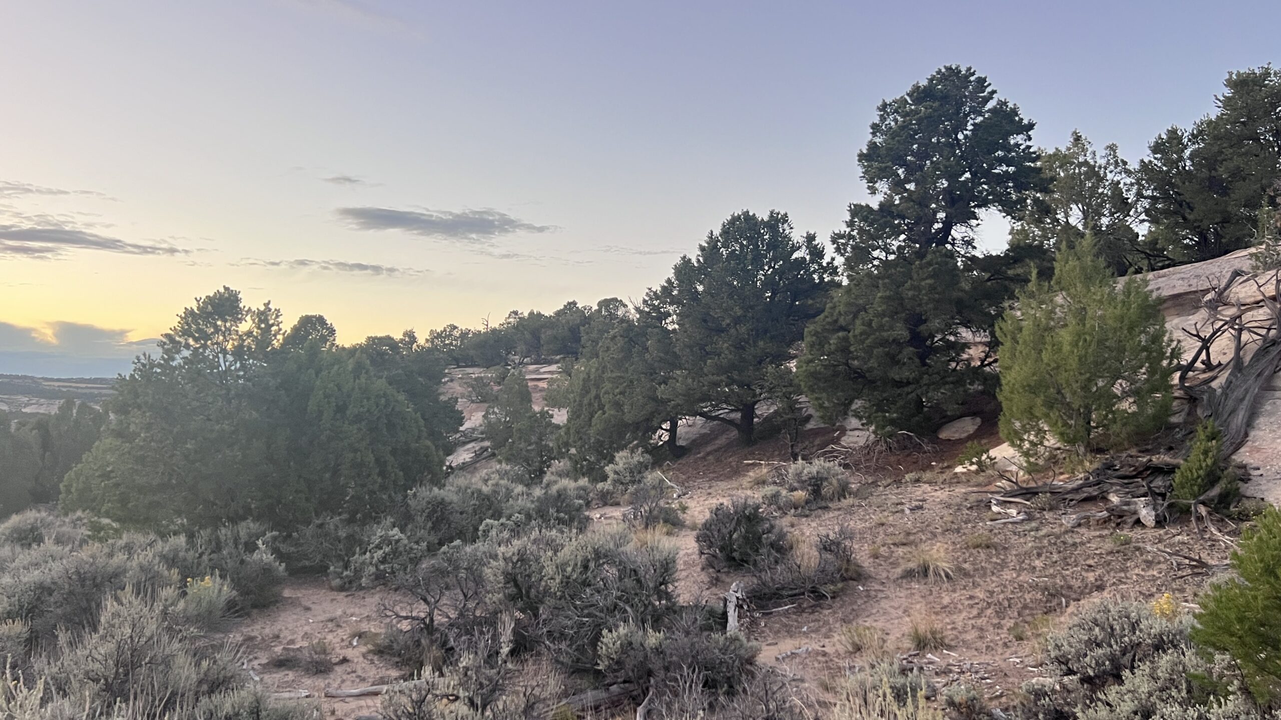 Western Colorado Acreage
