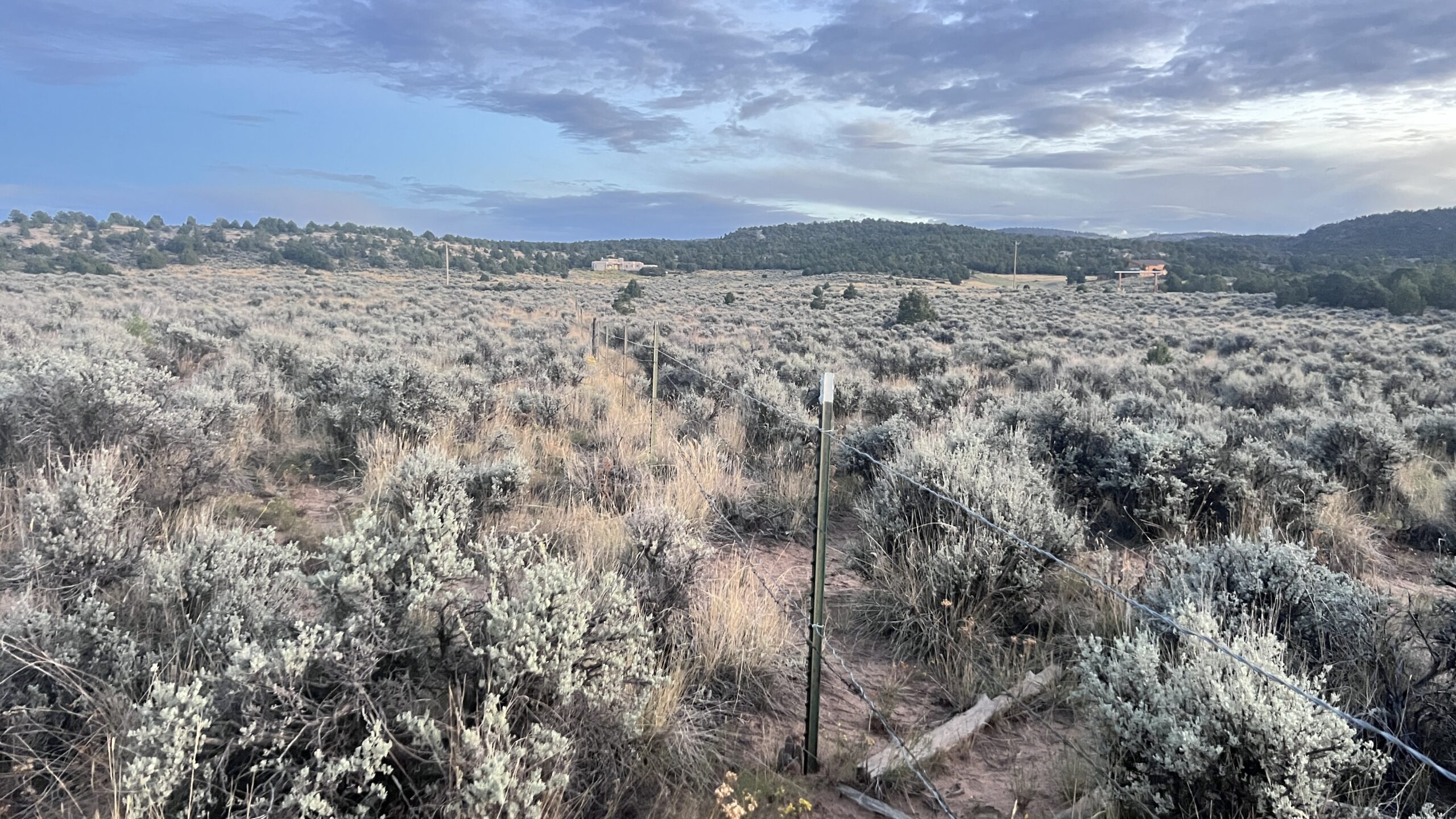Western Colorado Acreage