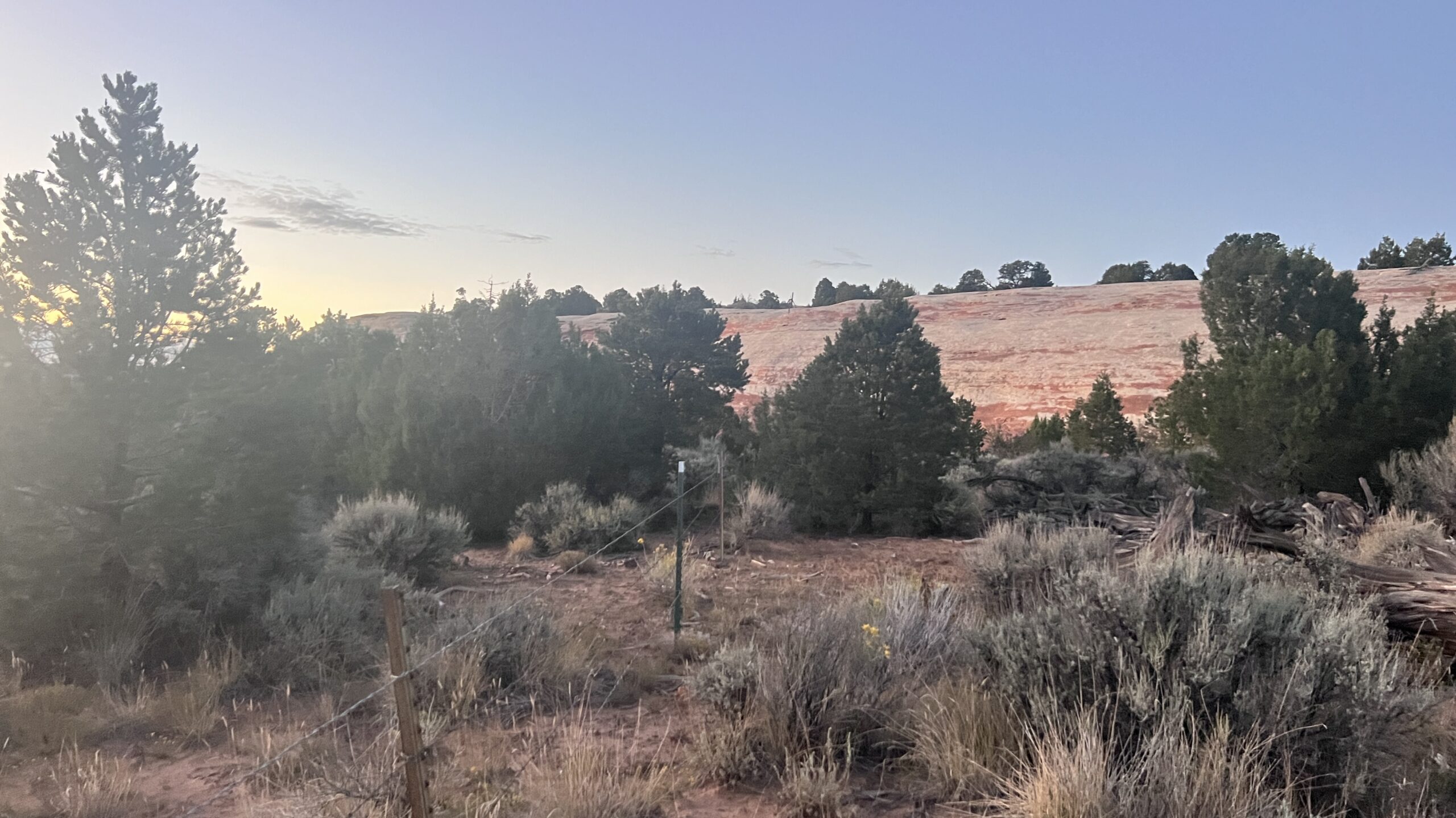 Western Colorado Acreage