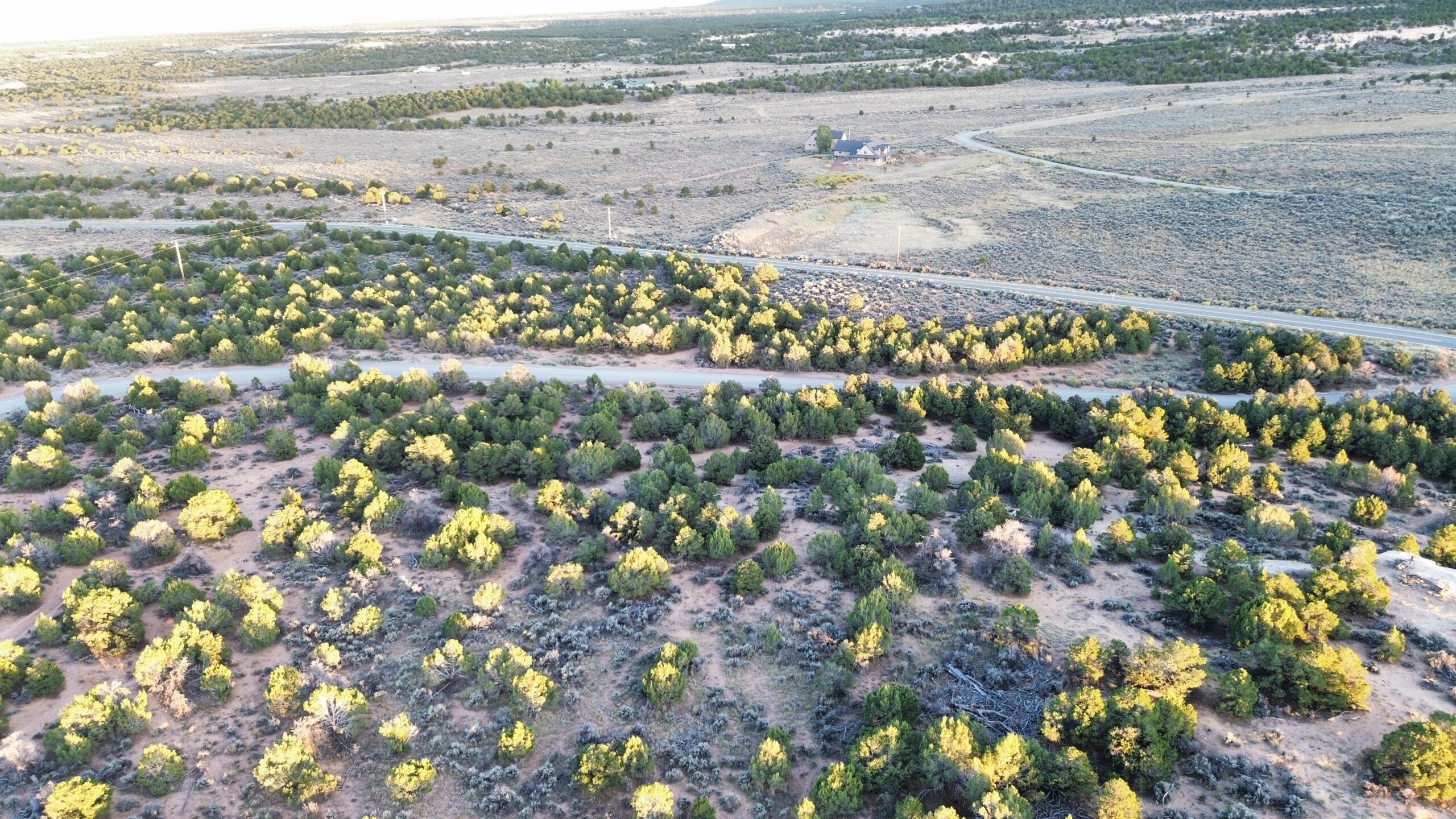 Western Colorado Acreage