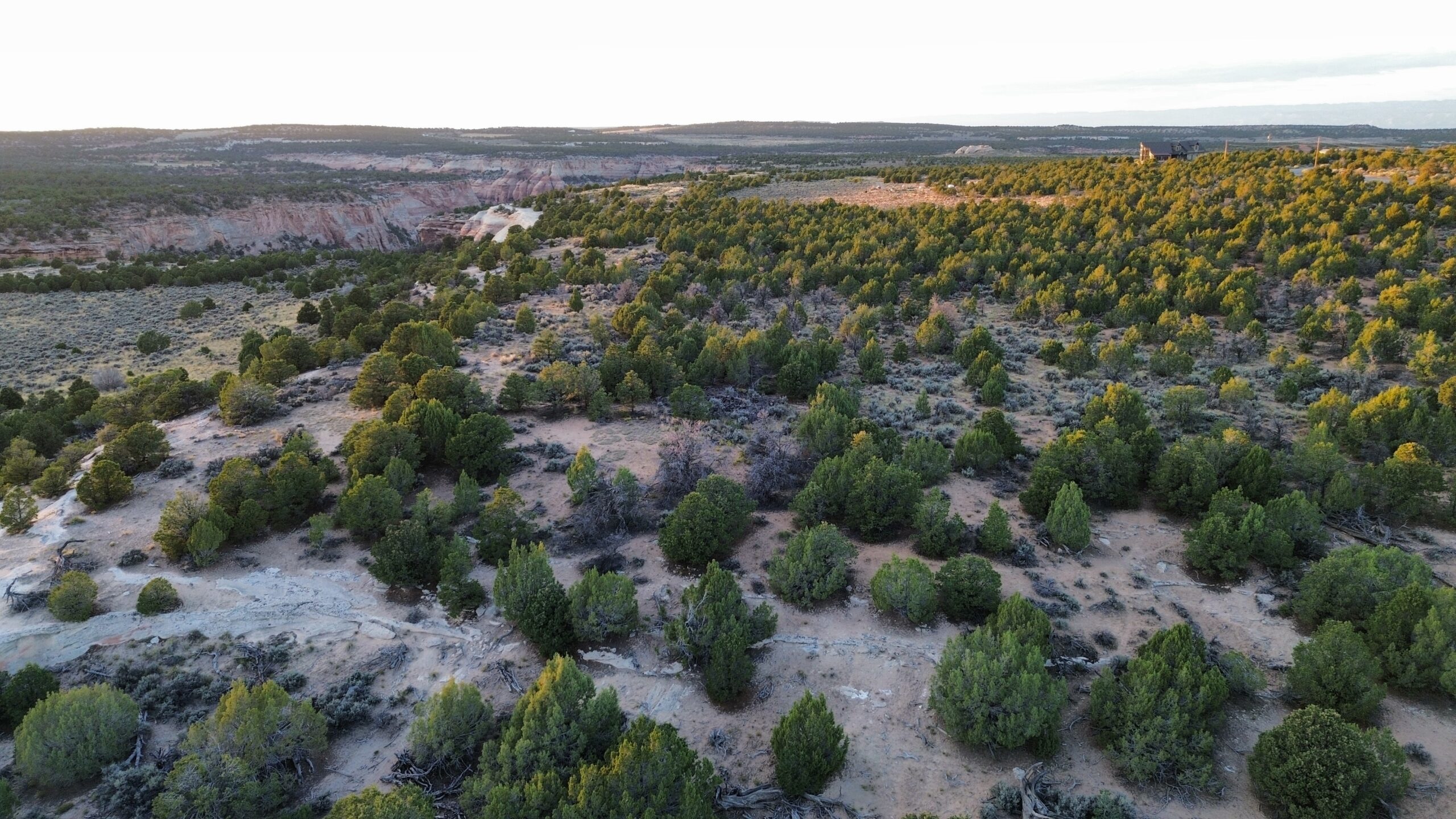 Western Colorado Acreage