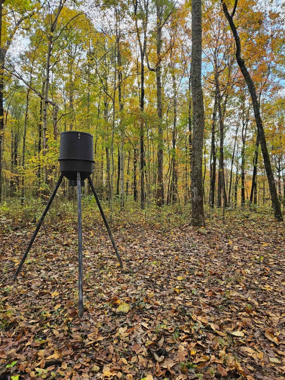 Liberty KY Country Home with Prime White-Tail Deer and Turkey Hunting Land