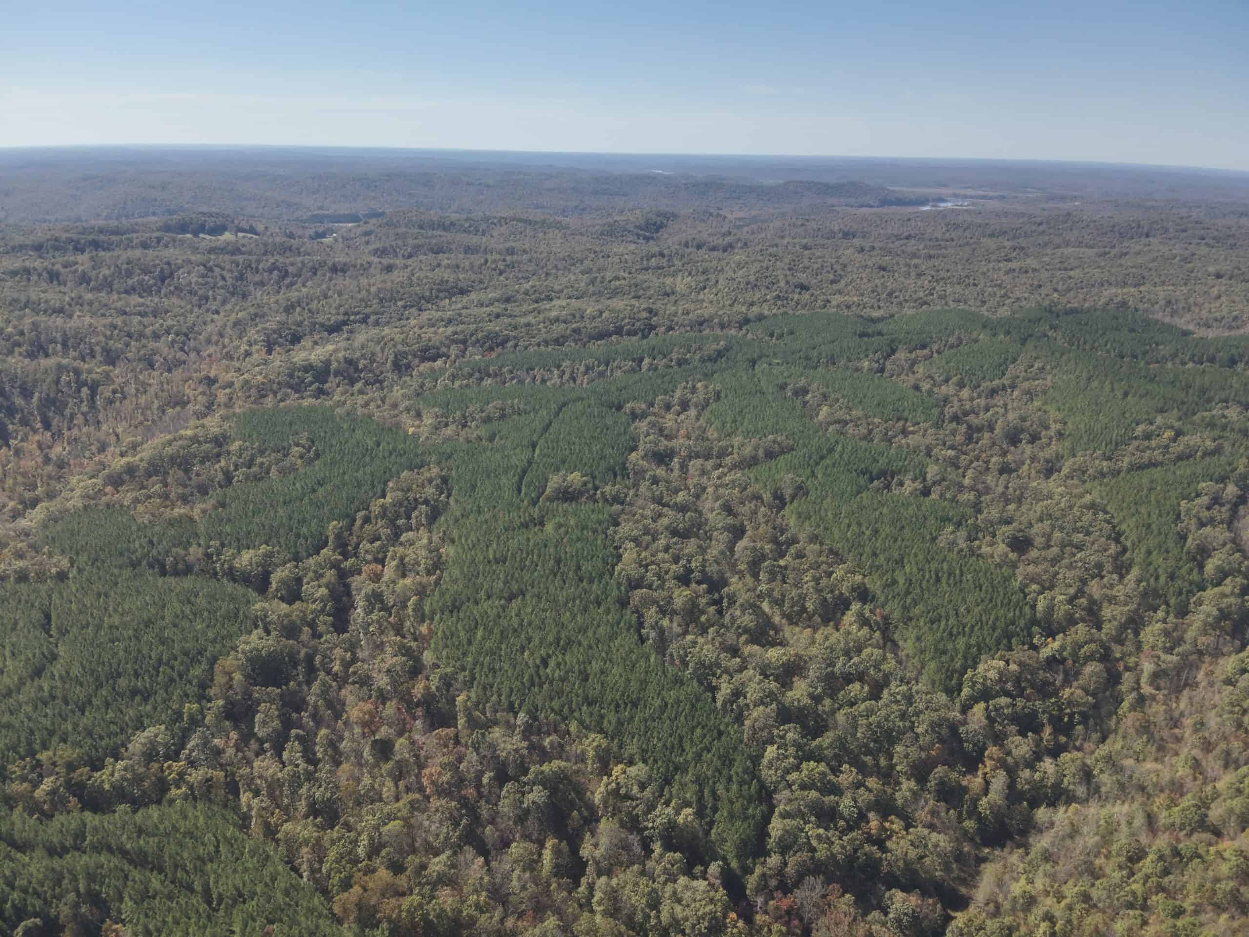 79.49 Acres Hunting and Timberland For Sale in Linden, TN