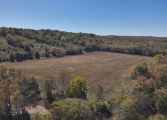 Hunting Land With Vintage Farm For Sale in Linden, Tennessee