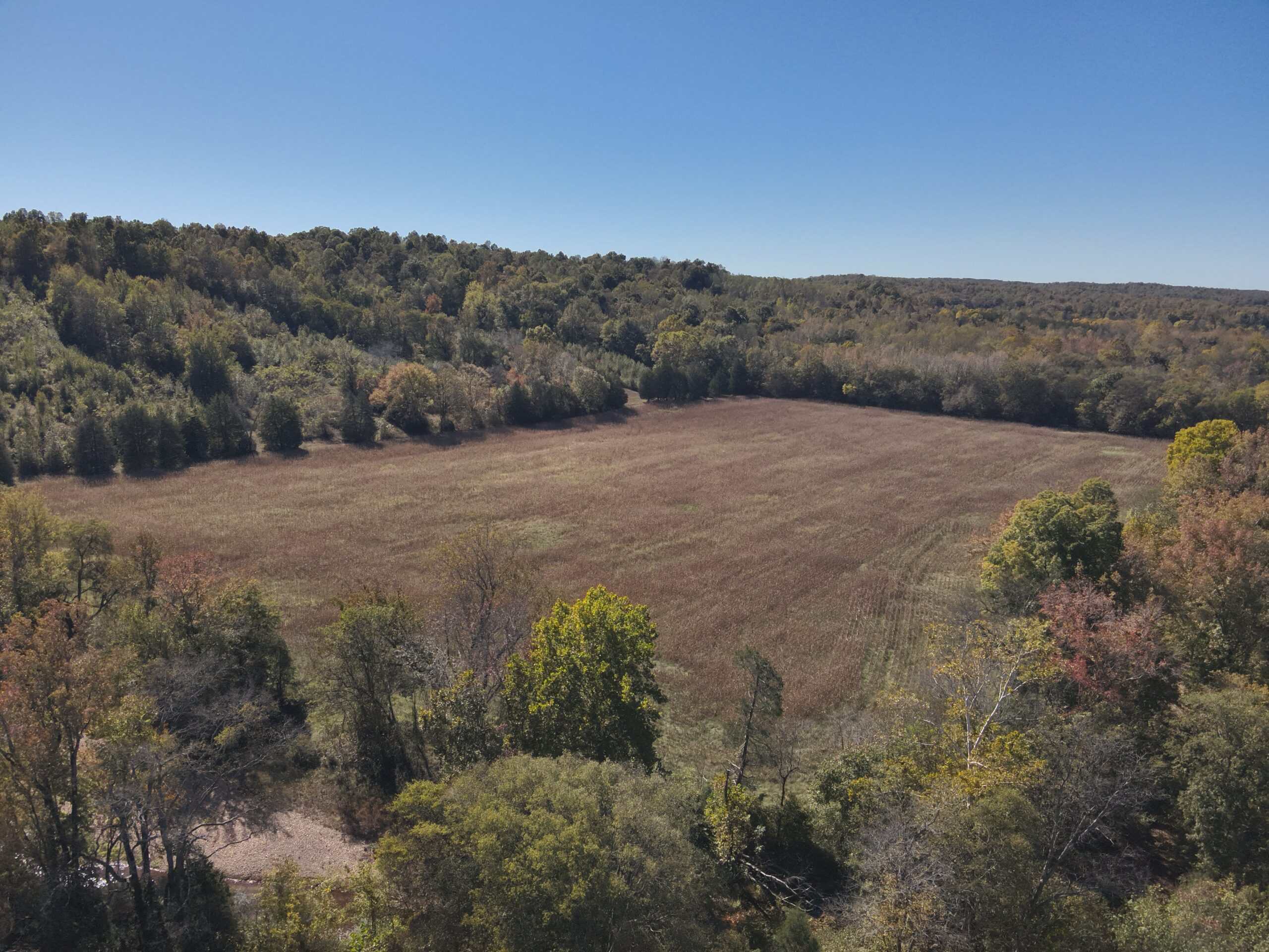 Hunting Land With Vintage Farm For Sale in Linden, Tennessee