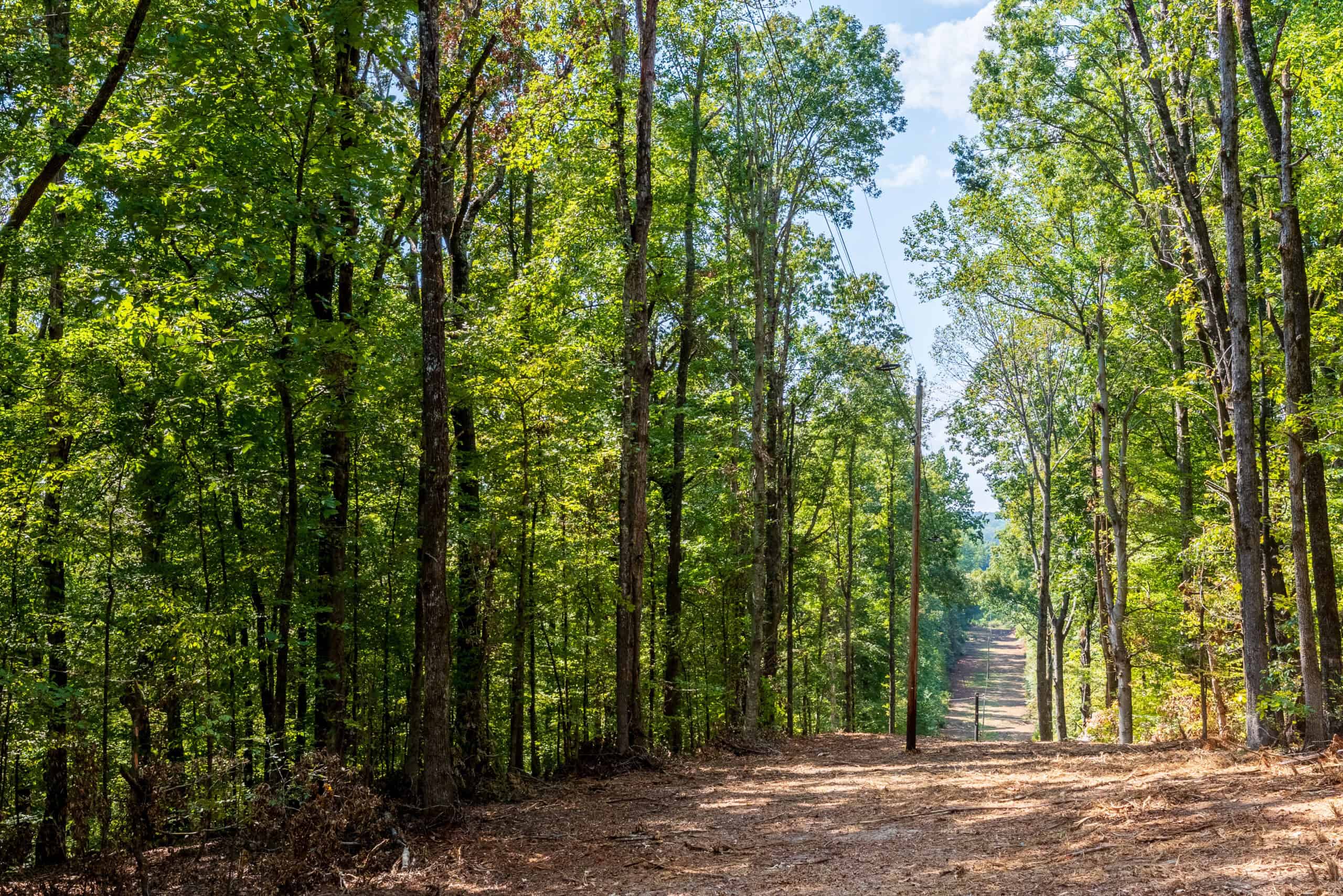 Premier Hunting & Recreation Property in Middleton, TN
