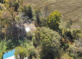 Hunting Land With Vintage Farm For Sale in Linden, Tennessee