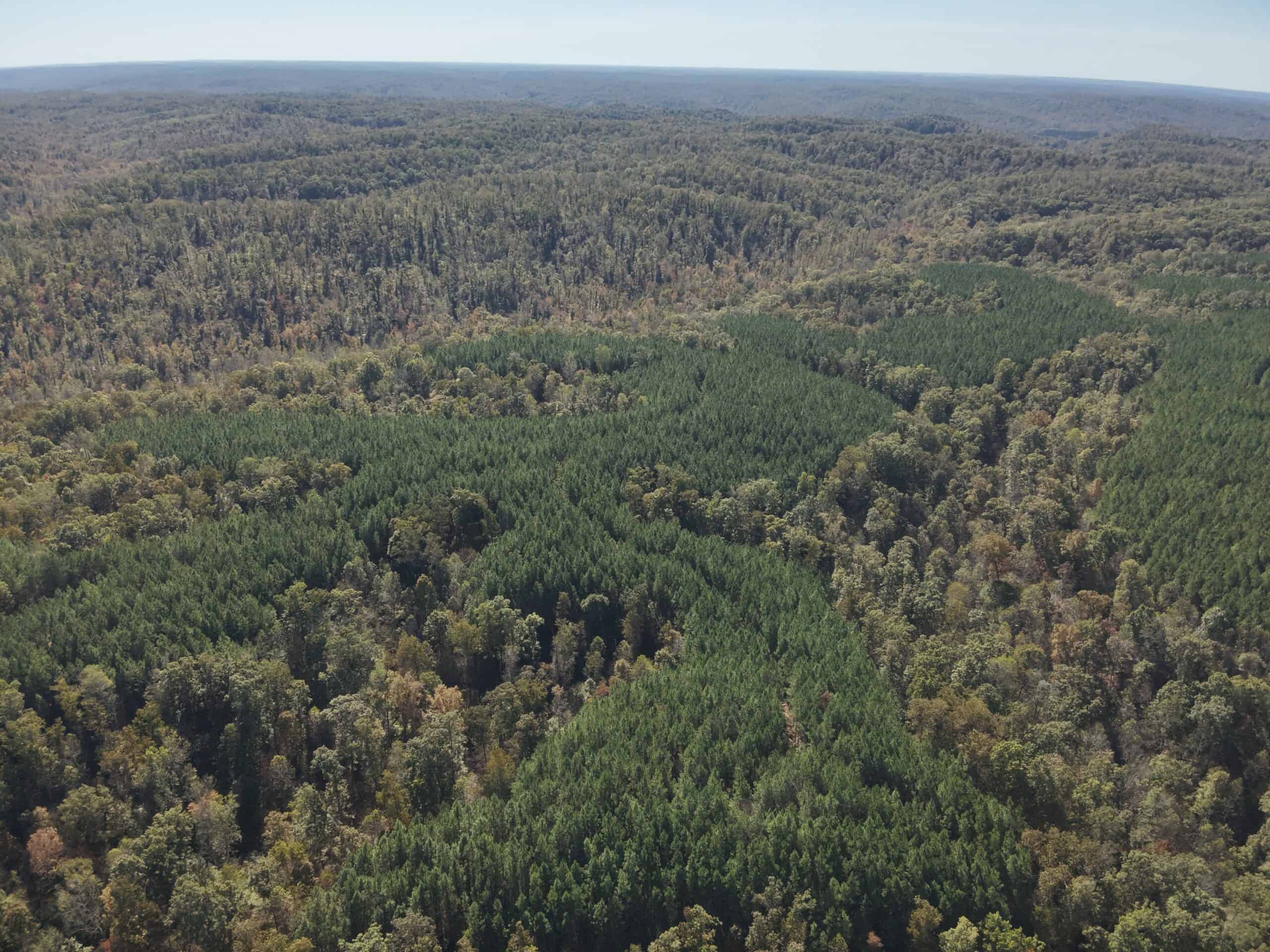 79.49 Acres Hunting and Timberland For Sale in Linden, TN
