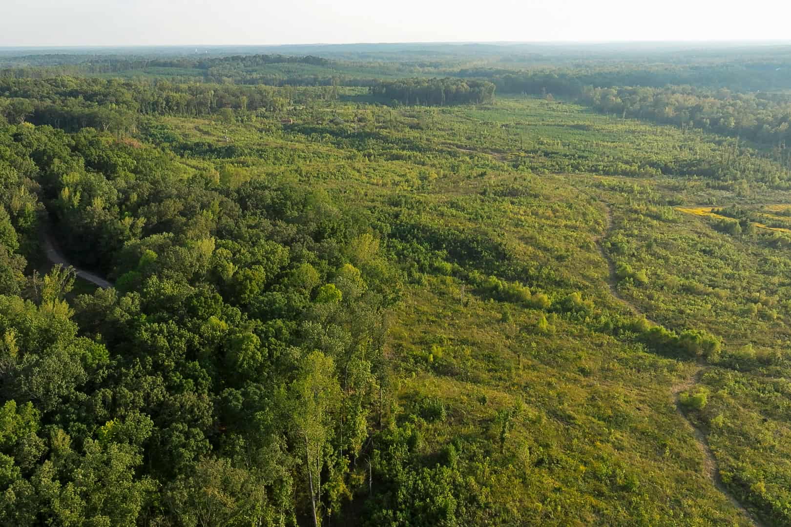 Premier Hunting & Recreation Property in Middleton, TN